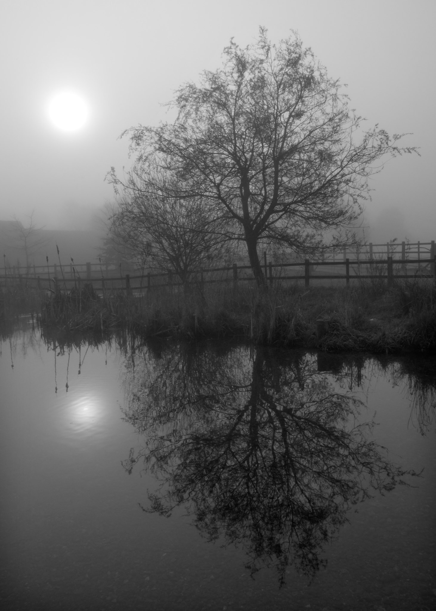 Redbournbury Mill, 2010