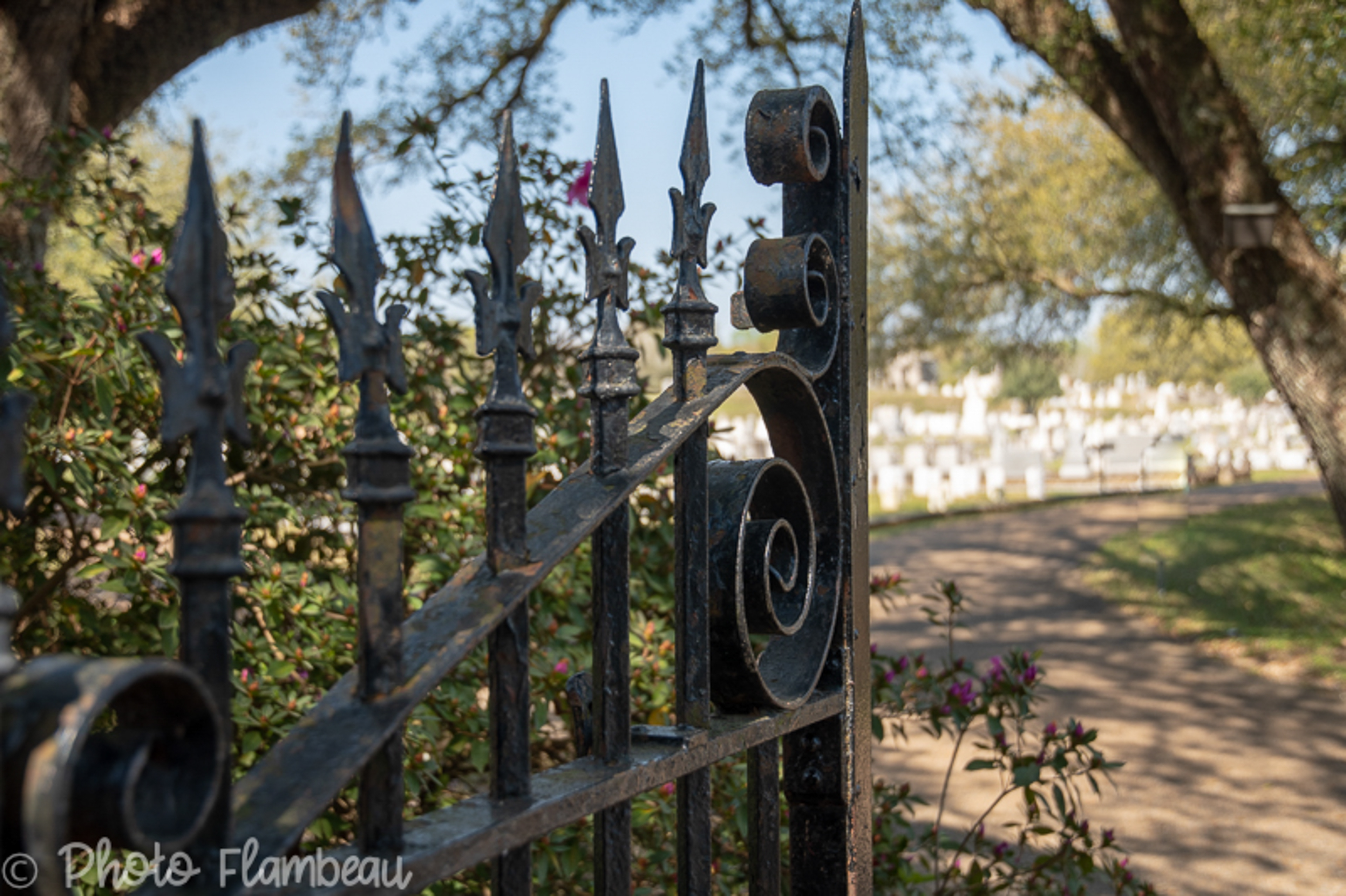 Natchez MS cemetery