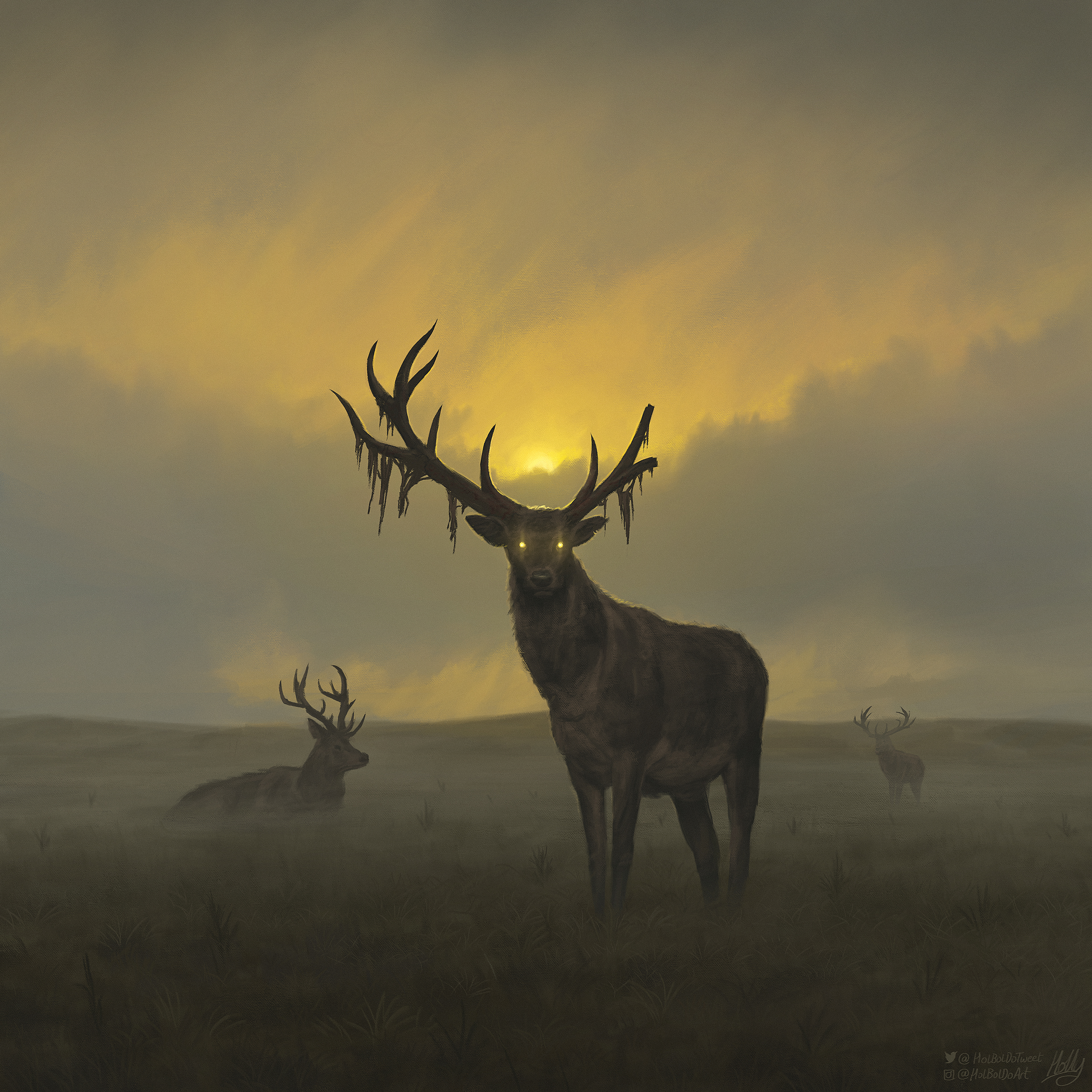 The Deer With the Broken Antlers