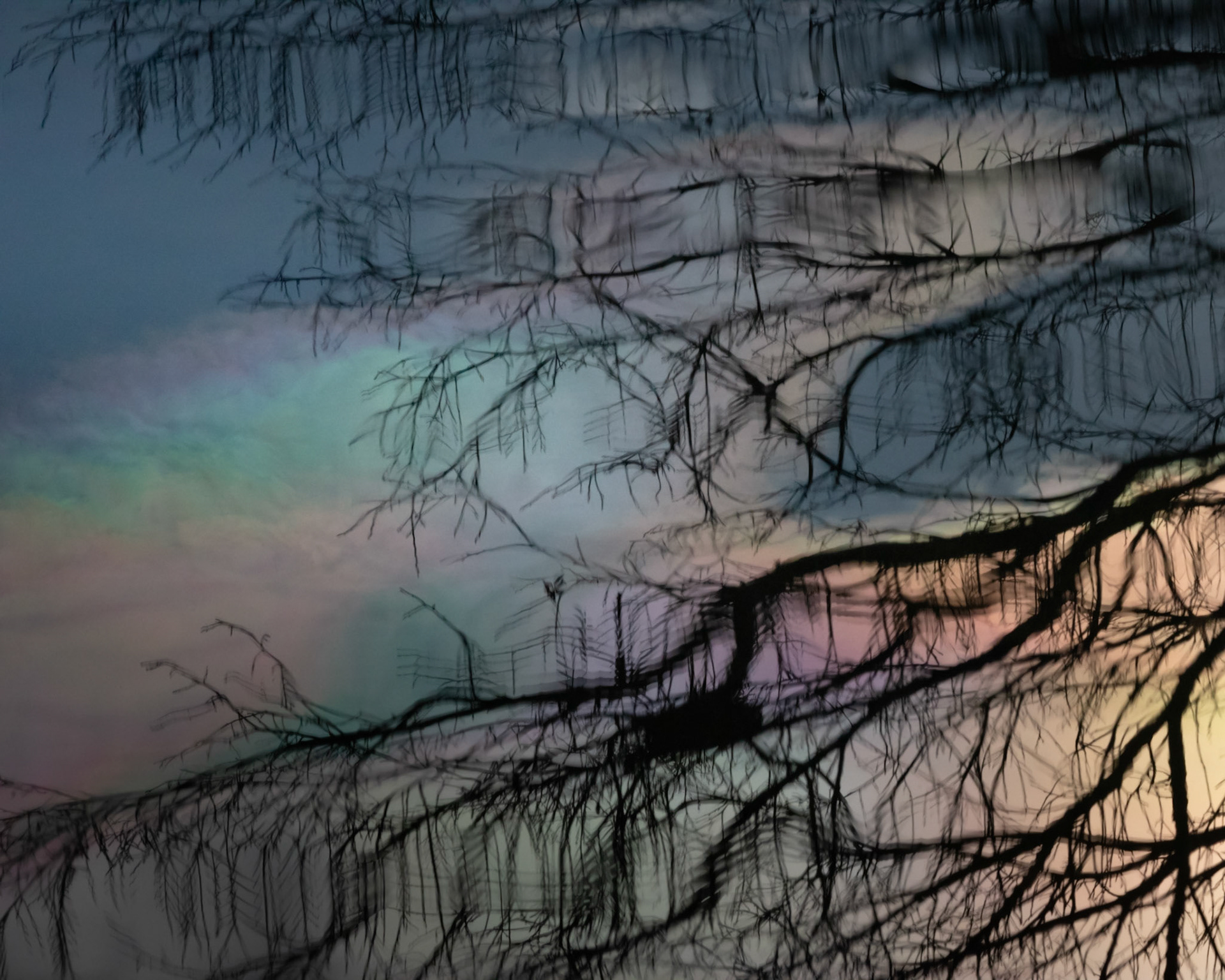 iridescent reflection