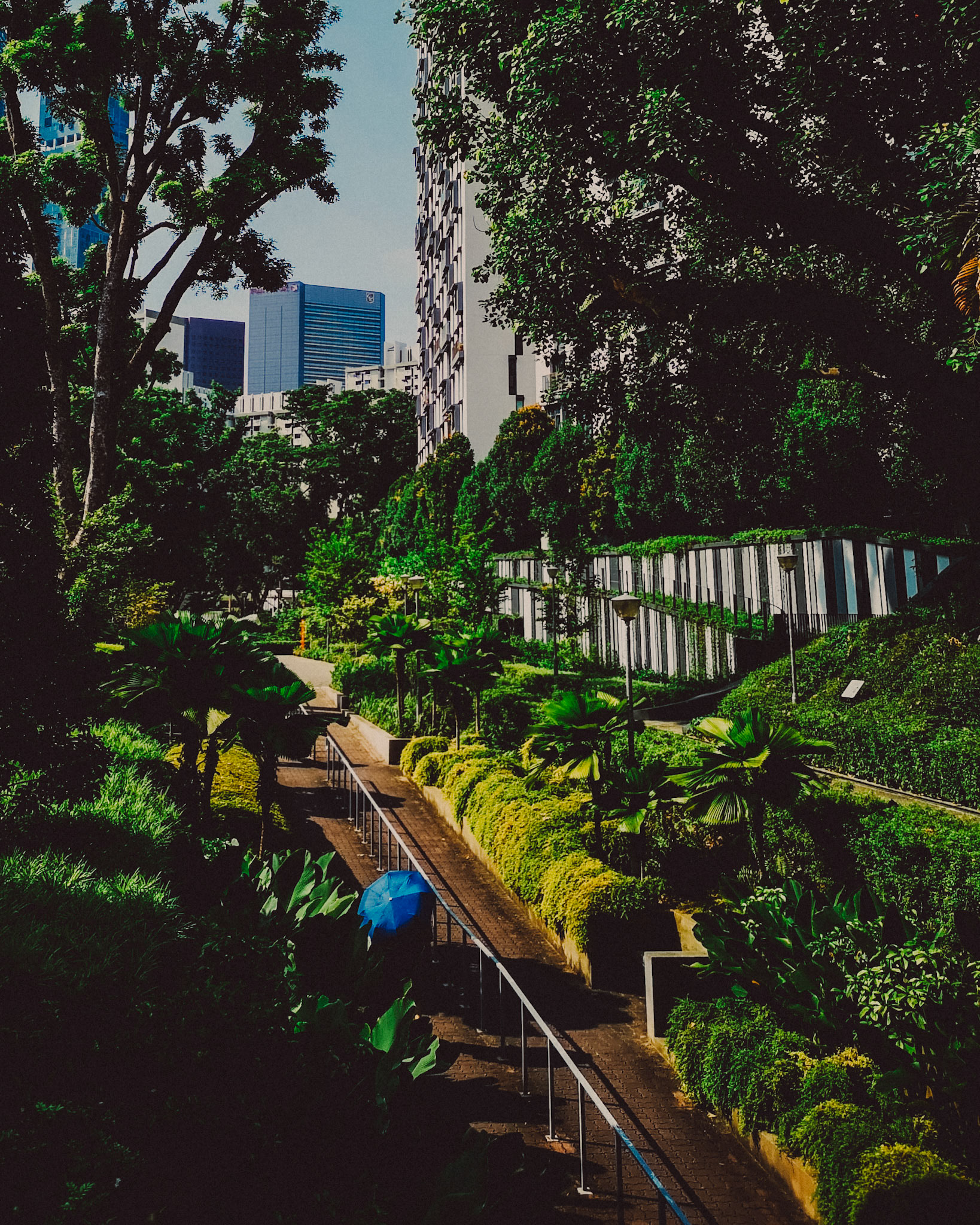 A blue umbrella amidst urban greenery, Singapore, August 2018, Huawei P20 Pro.