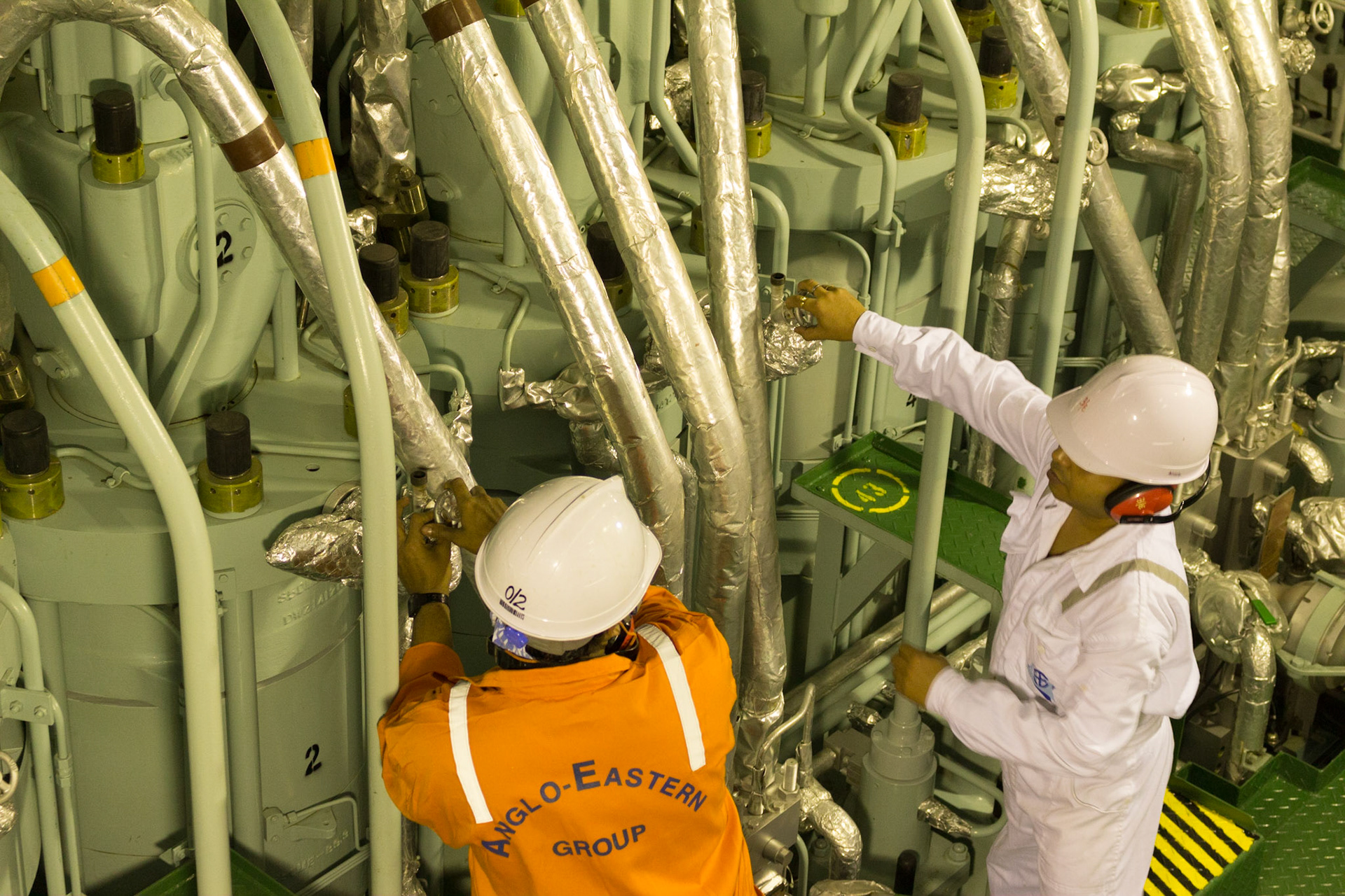 Fednav Federal Bering