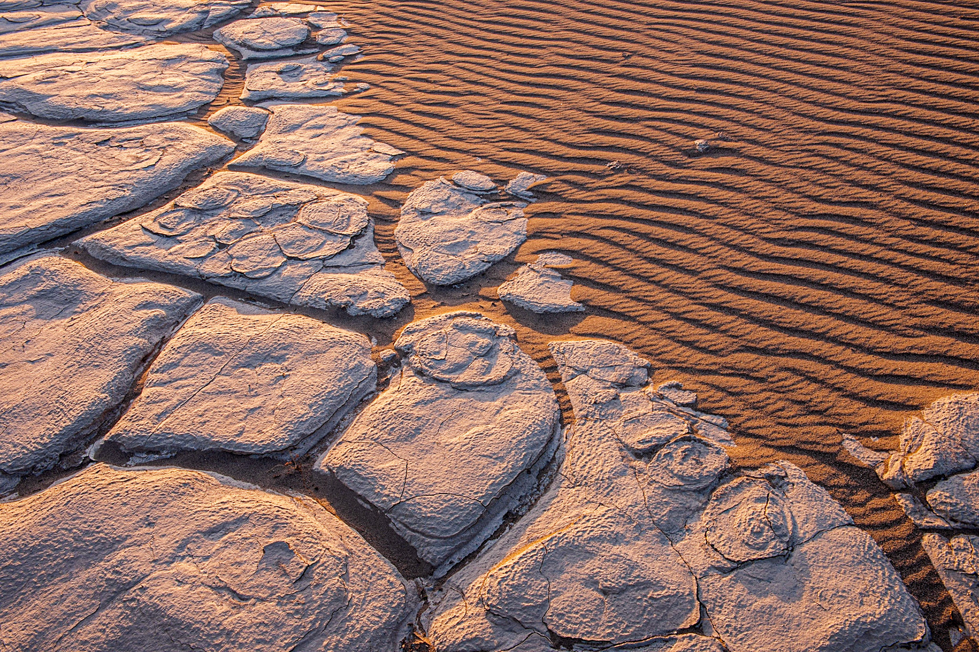 Cracked Riverbed