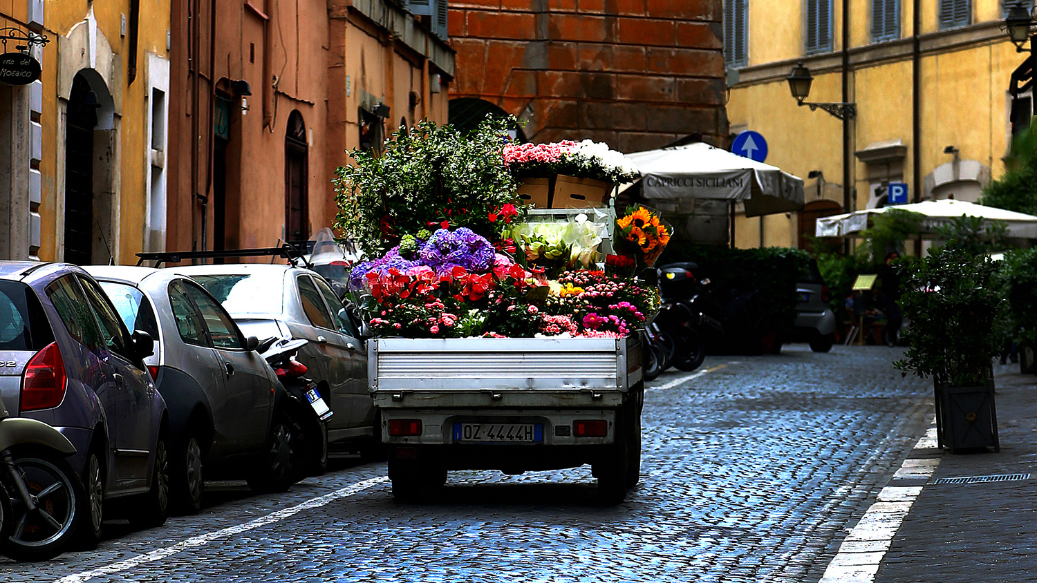 Roma e fiori