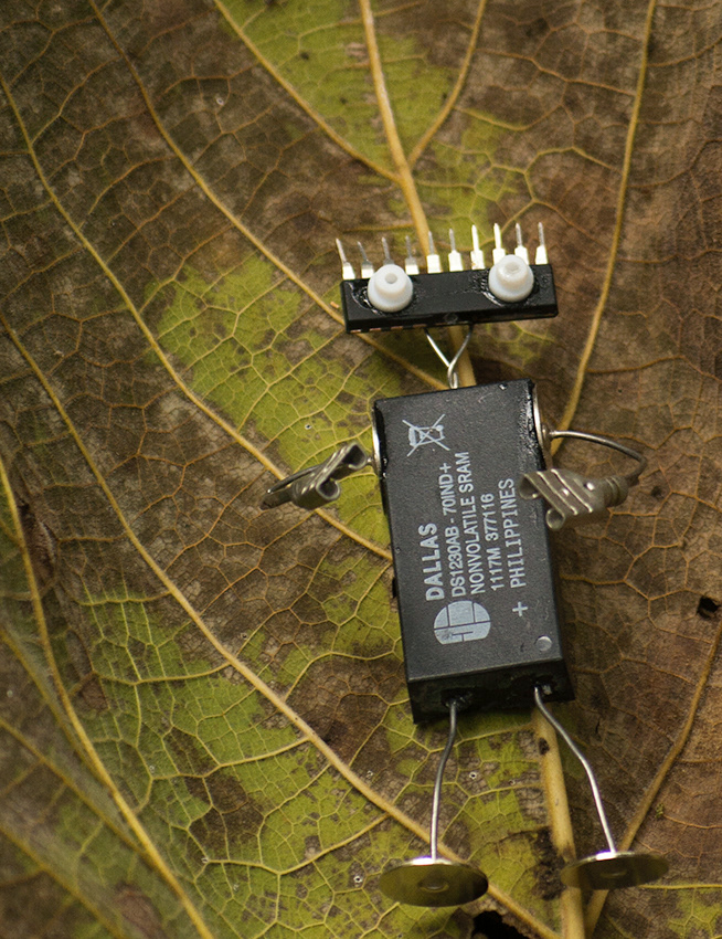 recycled art character sleeps on large leaf in the forest