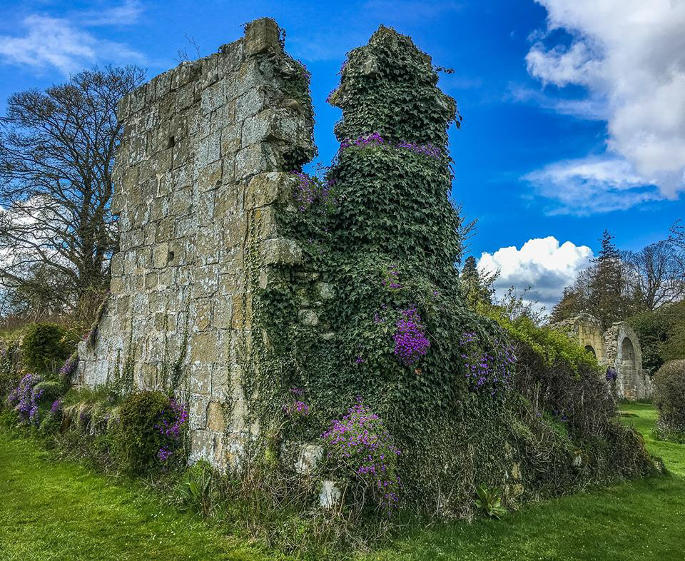 Jervaulx Abbey, Wensleydale