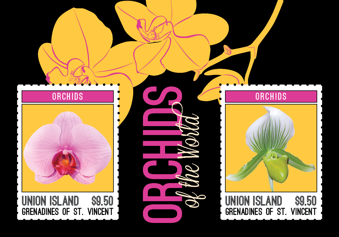 Orchids for Union Island