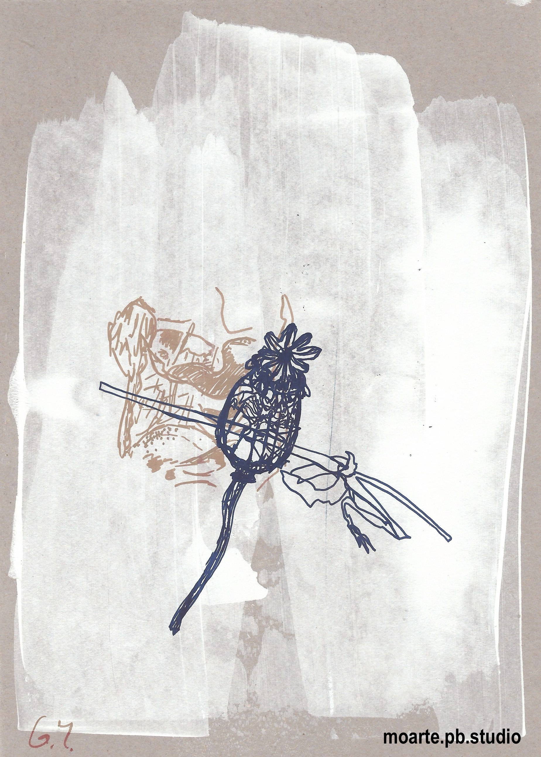 Close Observation 3 (Pens)