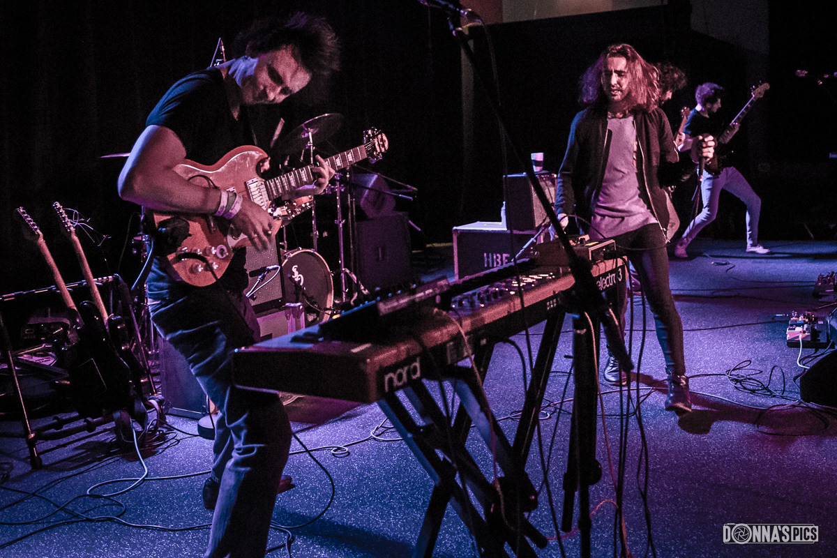 Donna S Pics Stop Light Observations donna s pics stop light observations