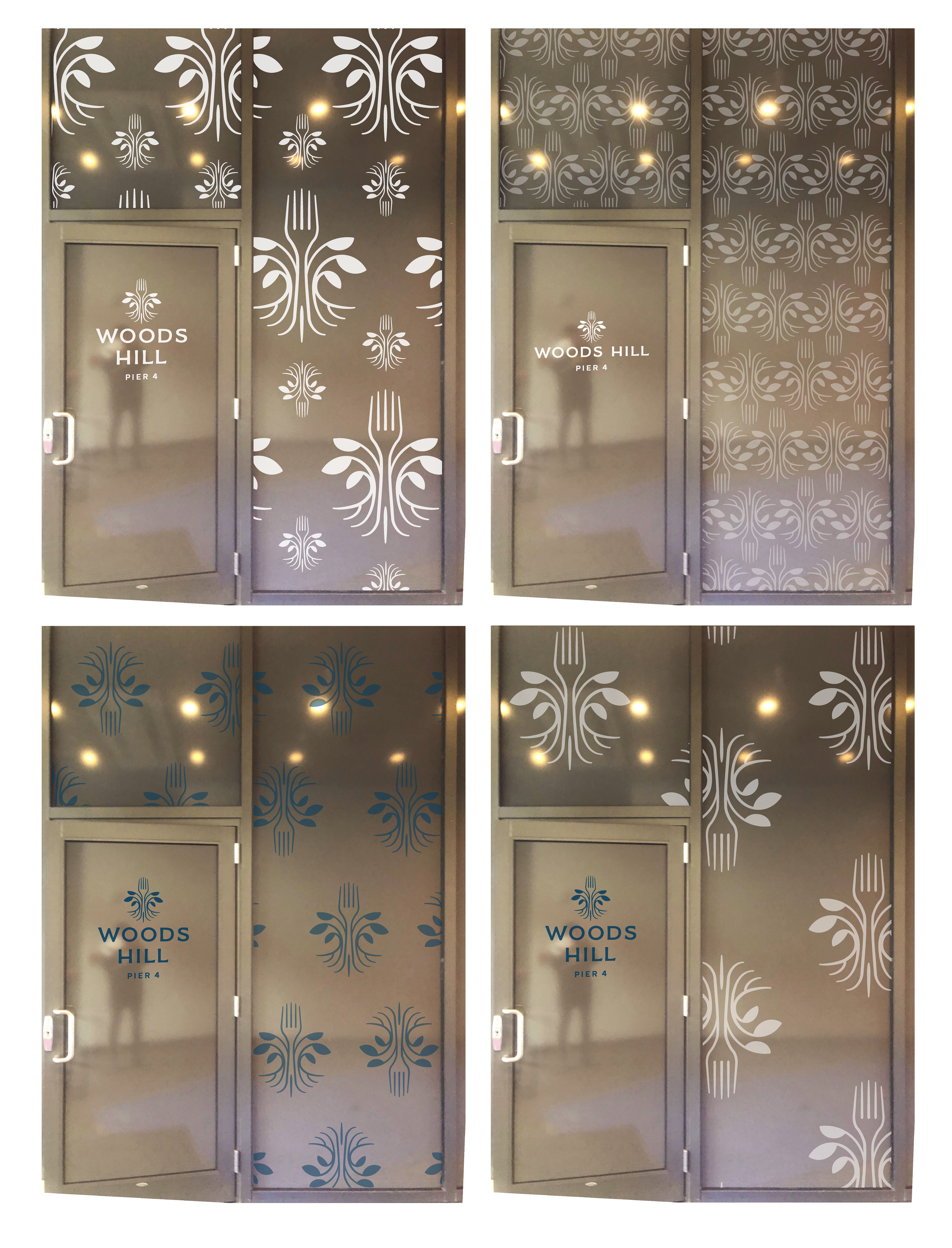 Main entrance glass door and panel design concepts