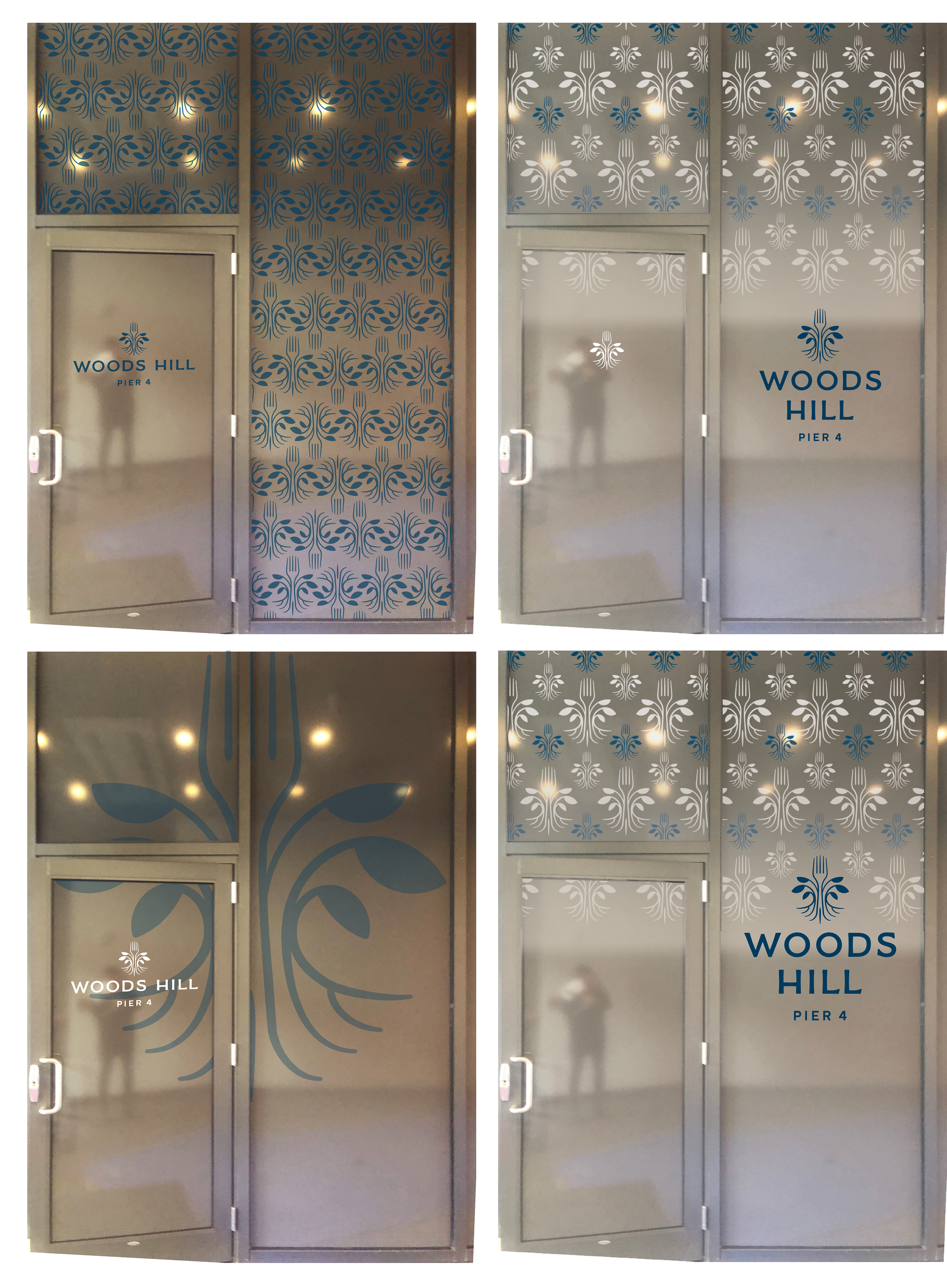 Main entrance glass door and panel design concepts