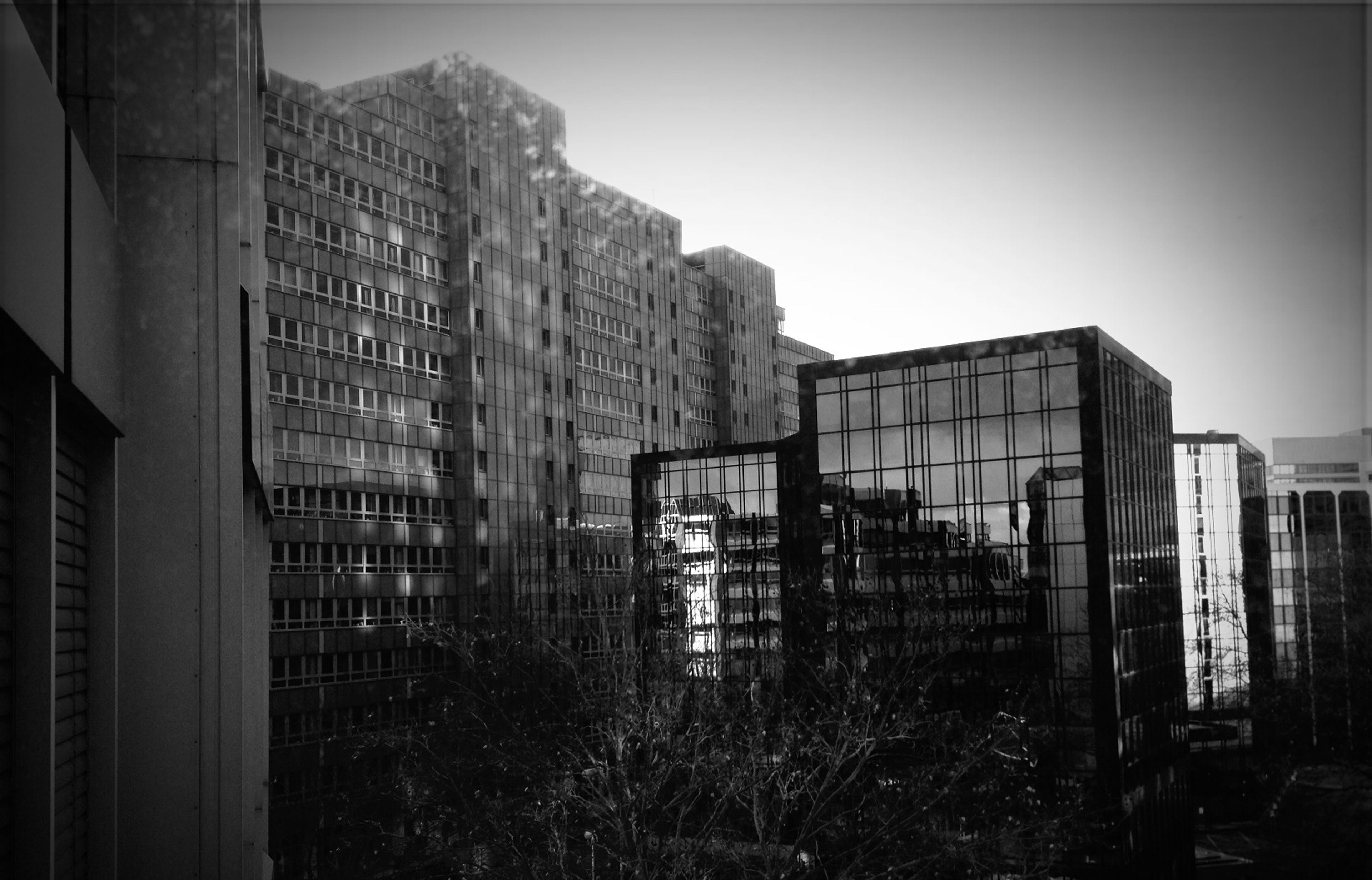 ”Eschborn beauty 01”