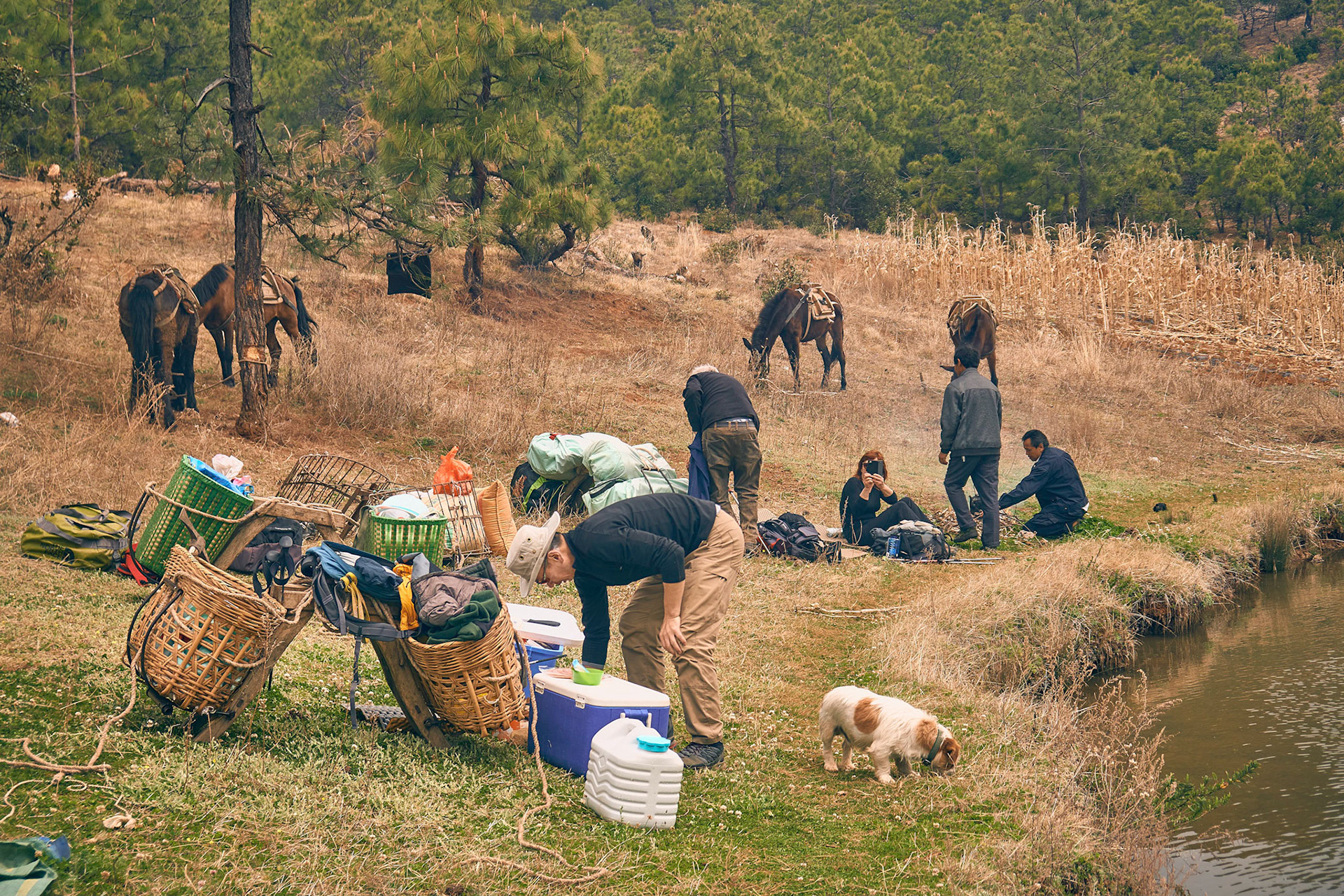 Traveling with mule caravana in Cangshan mountains
