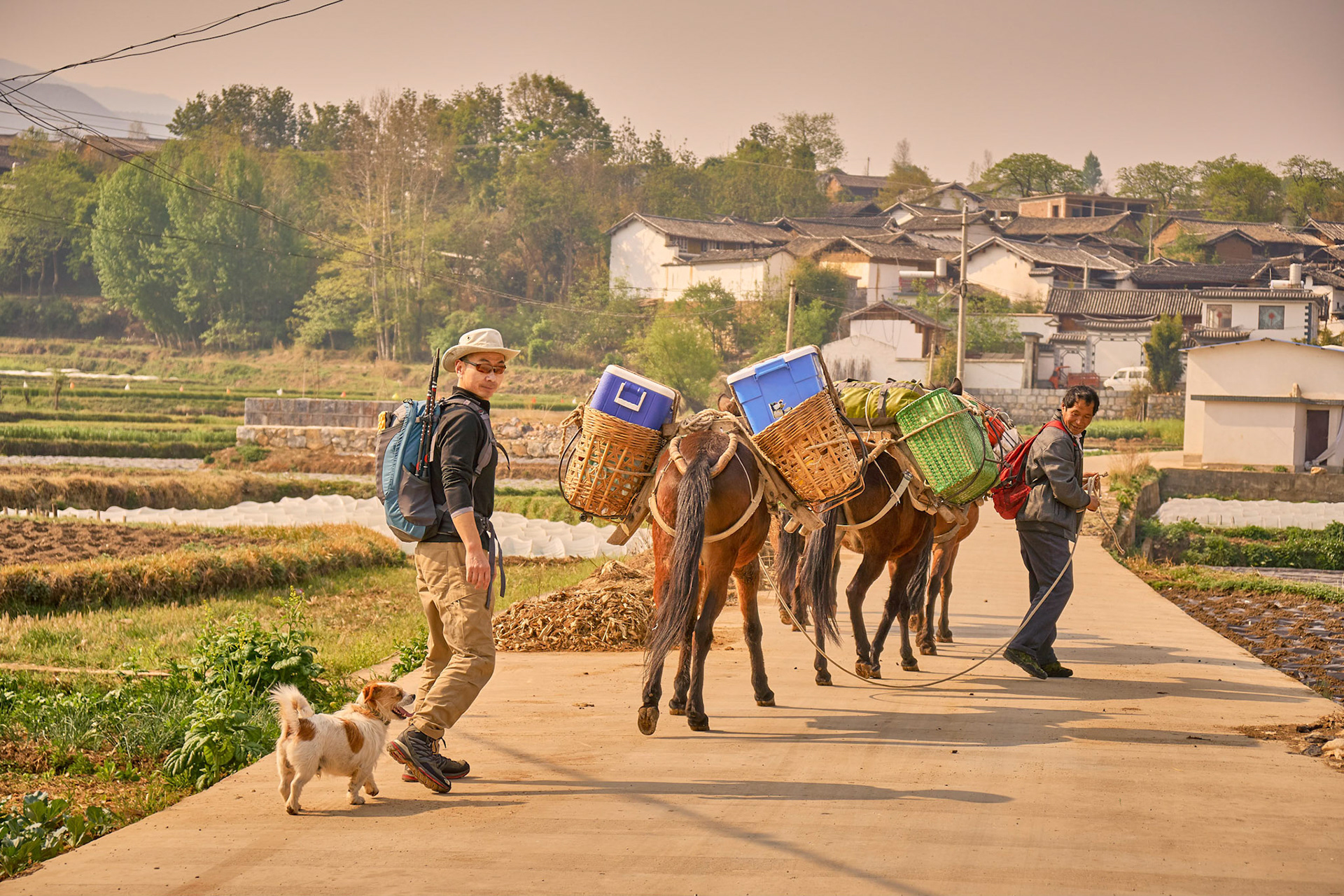 Traveling with mule caravana in Cangshan mountains