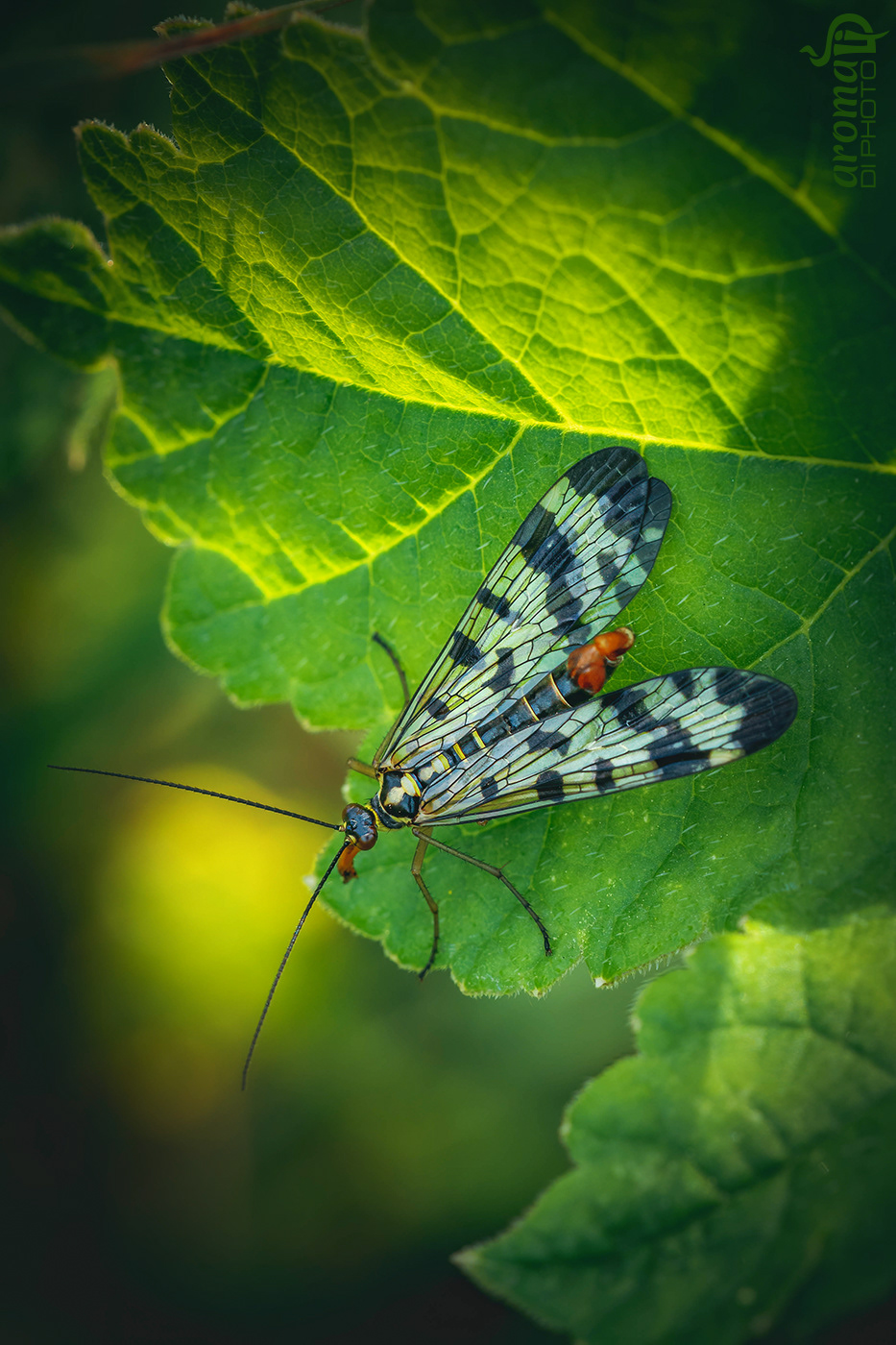 Catching the sun warm