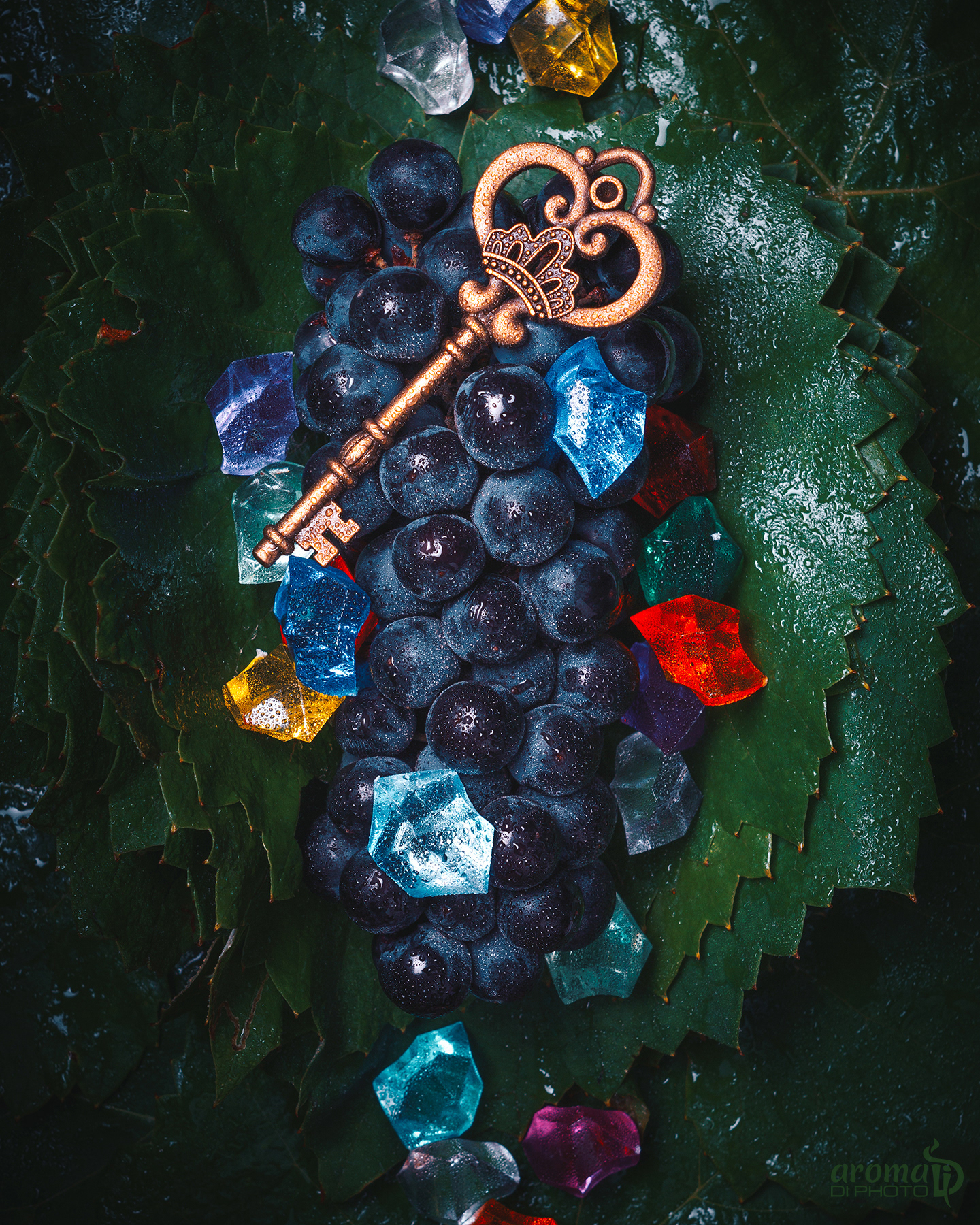 Grapes - The Secret Treasure