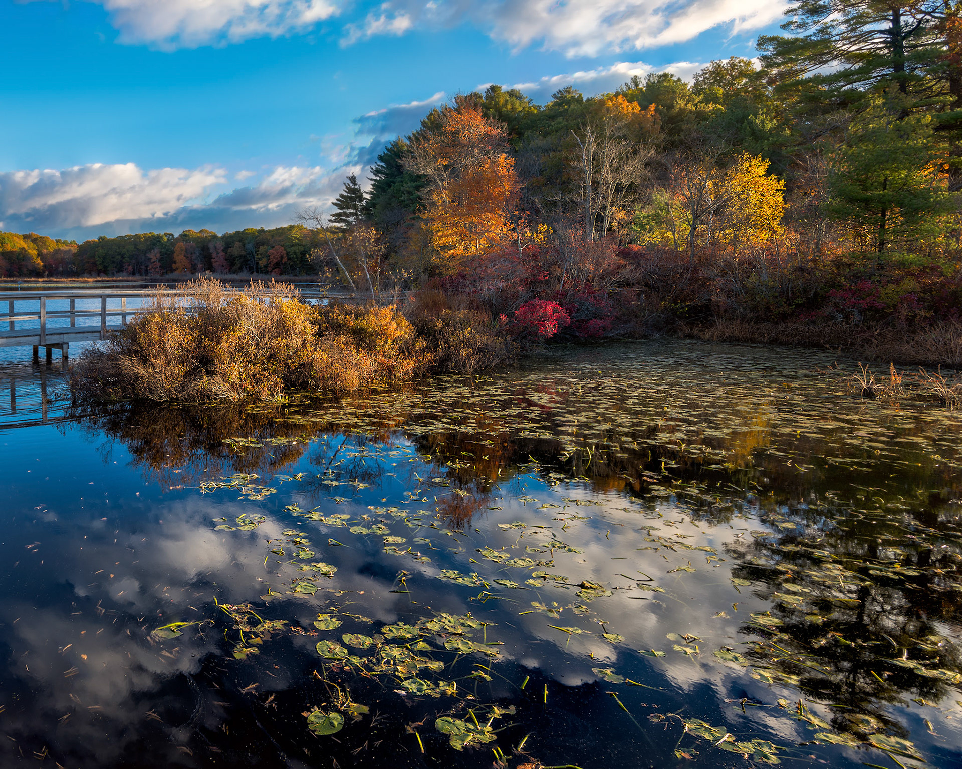 Mass State Parks DCR 1030