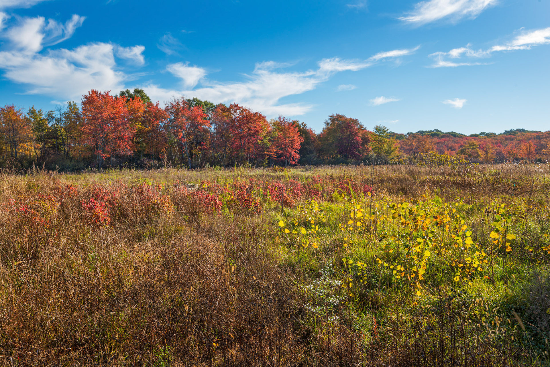 Mass State Parks DCR 102