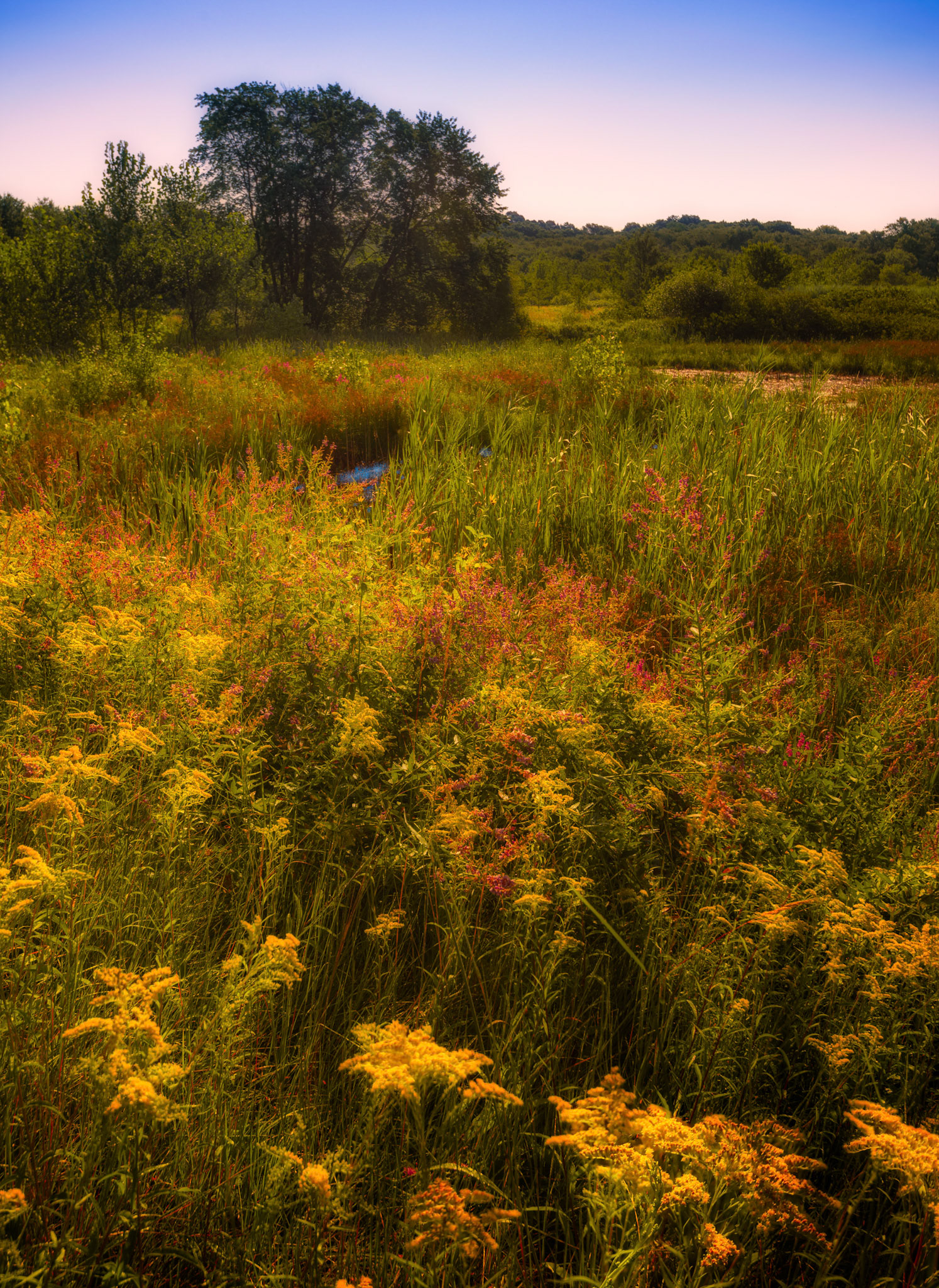 Mass State Parks DCR 105