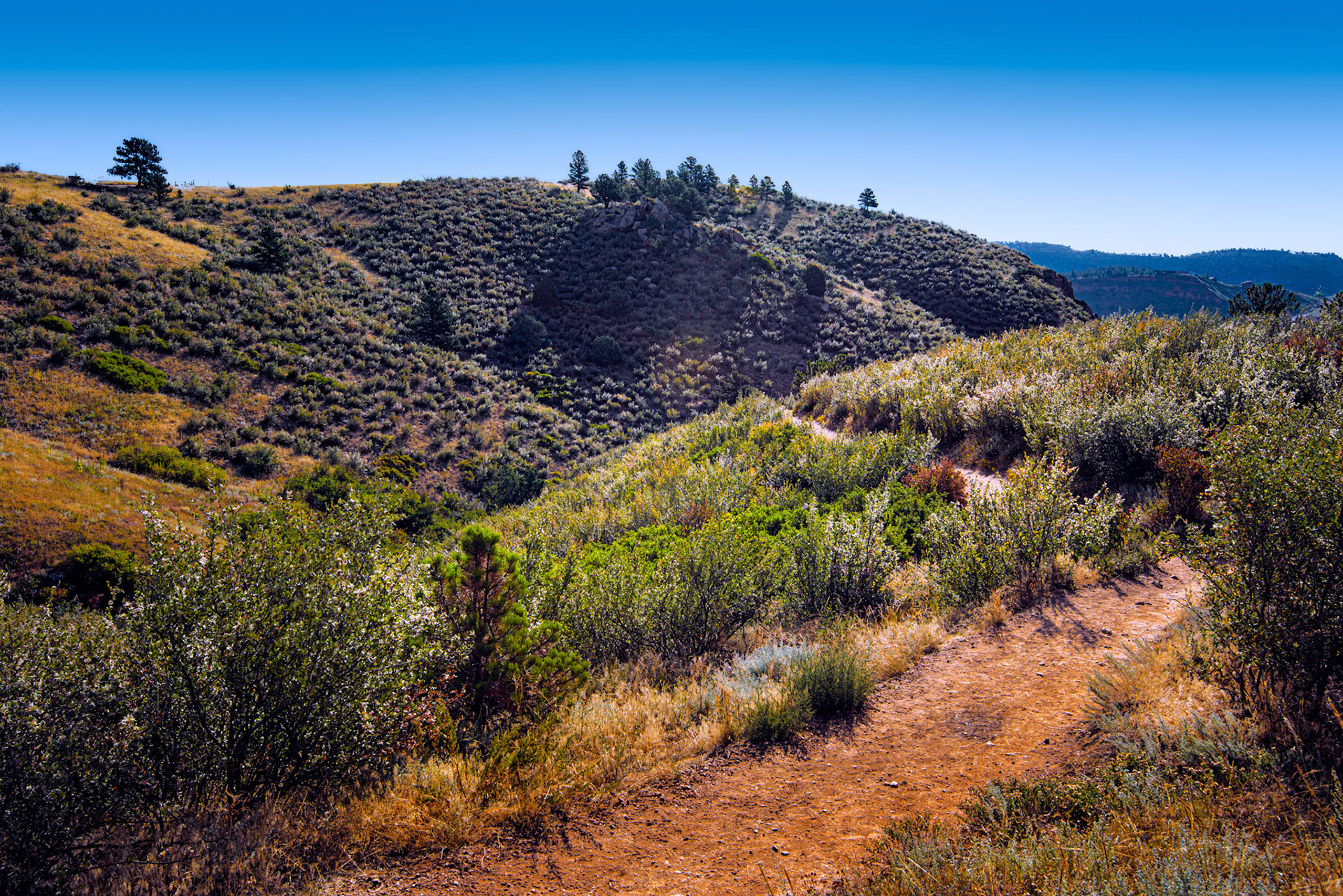 Colorado Open Range