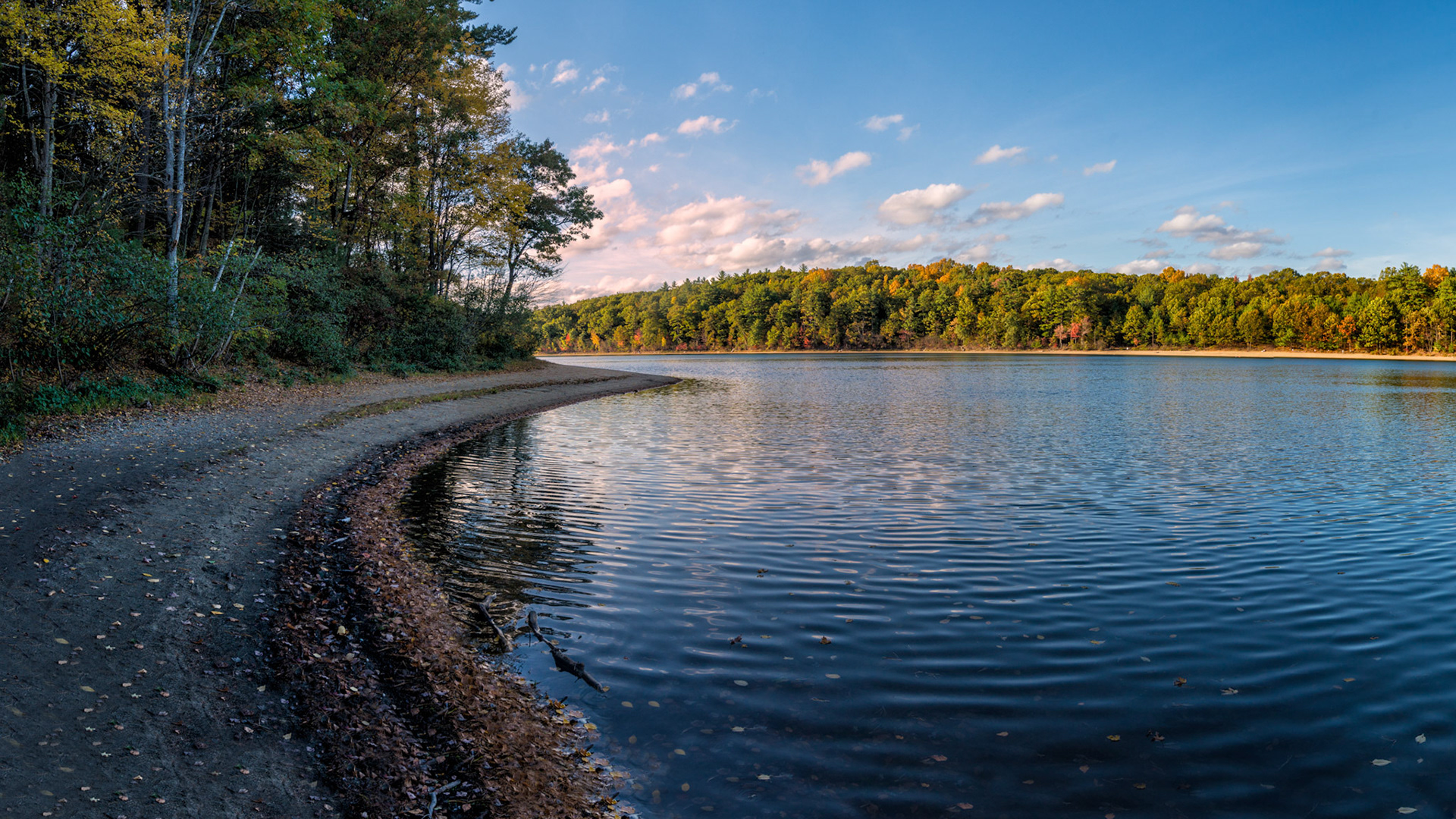 Mass State Parks DCR 1017