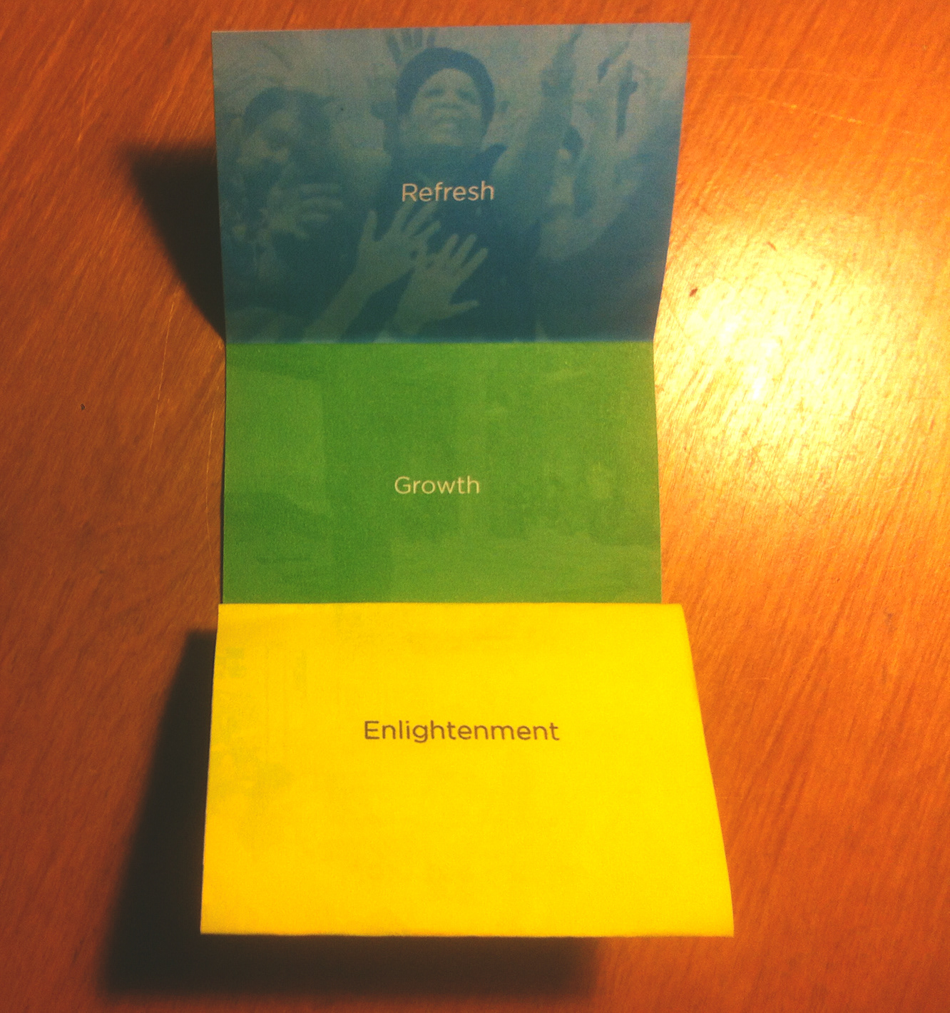 Campaign brochure (B-fold)