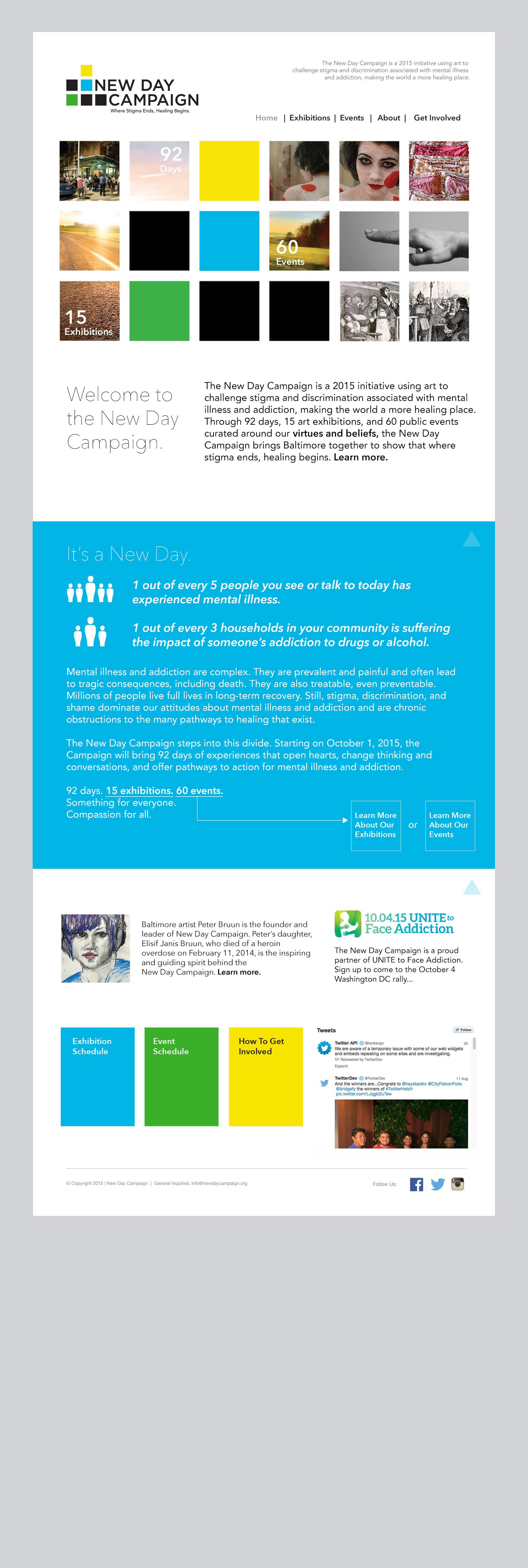 2015 Website (full page)