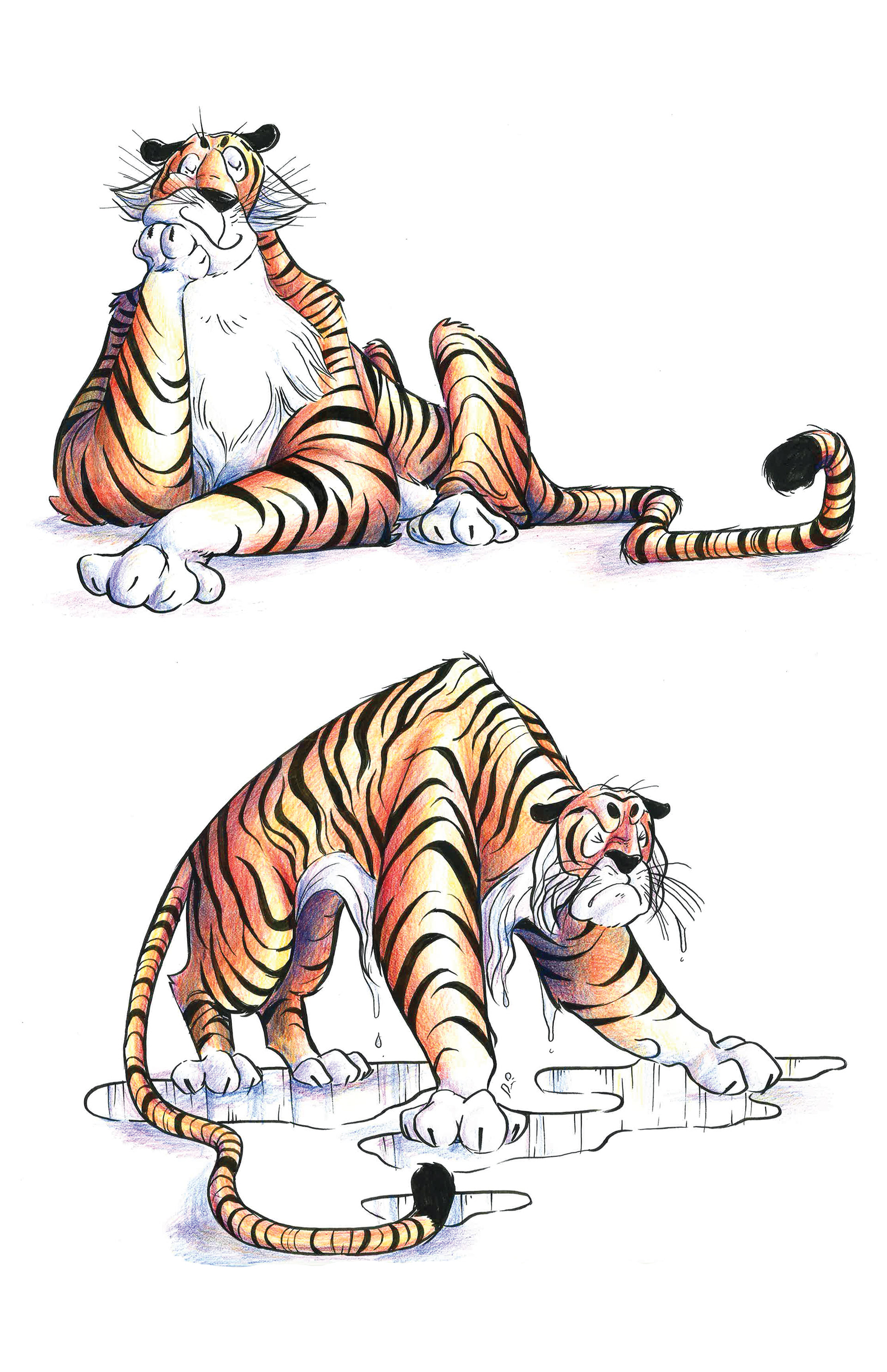 tiger character design