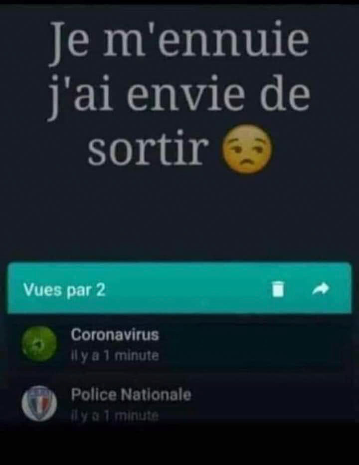 Résumé de l'année