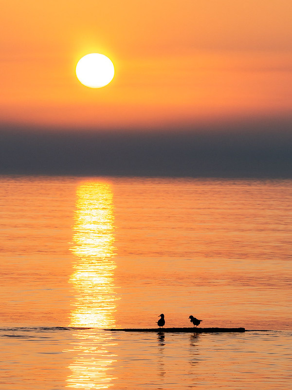 Charlevoix, MI-OM-D EM-1