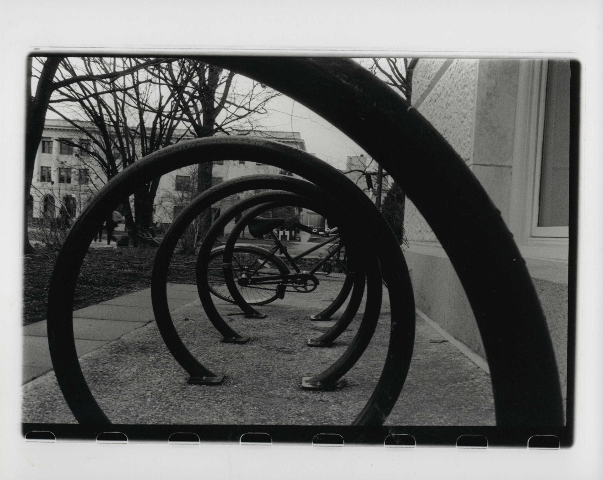Large Depth of Field, Winter 2020