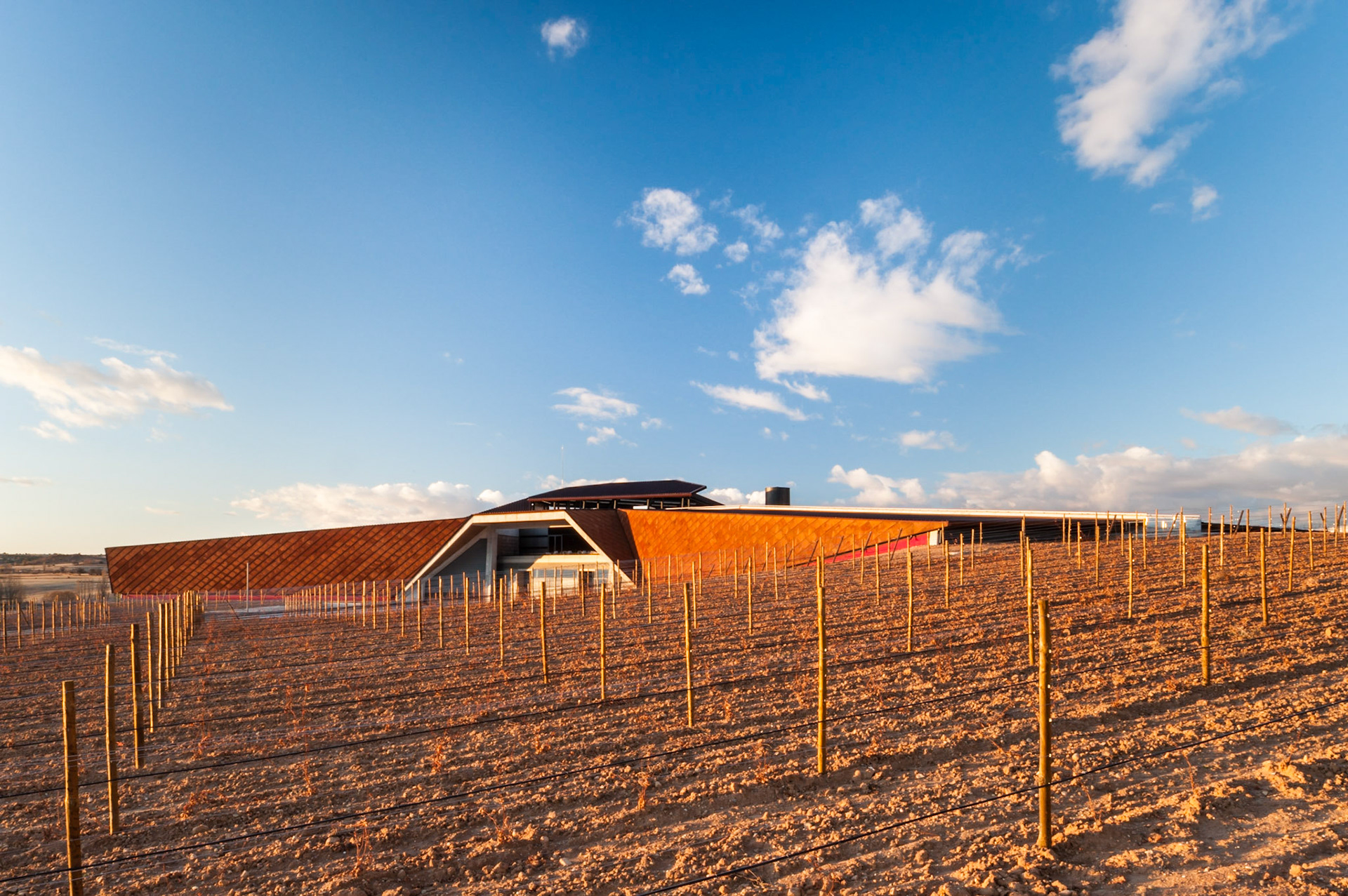 Portia Winery / Faustino Group / Gumiel de Izán, Spain / Foster + Partners