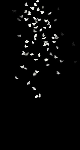 Moths, 2014