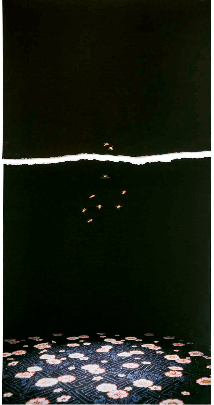 Stray Bees, 2014