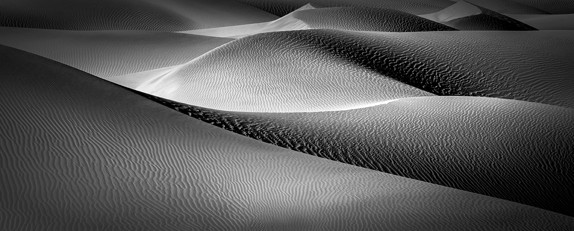Shadow and Light