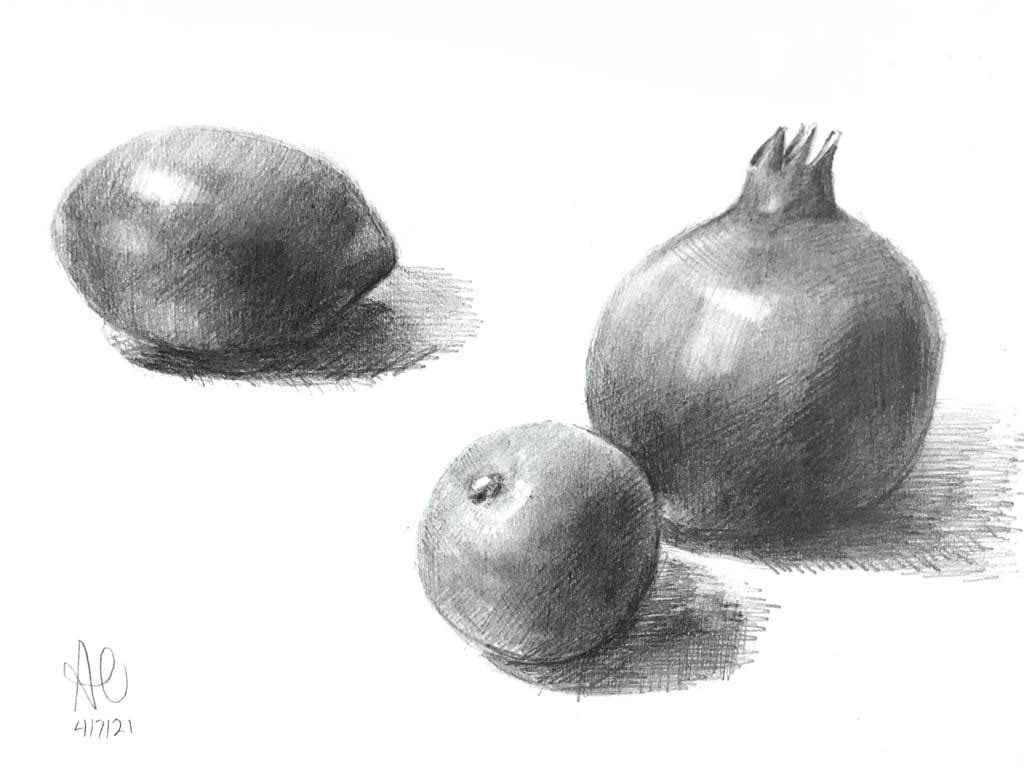 Fruits Still Life