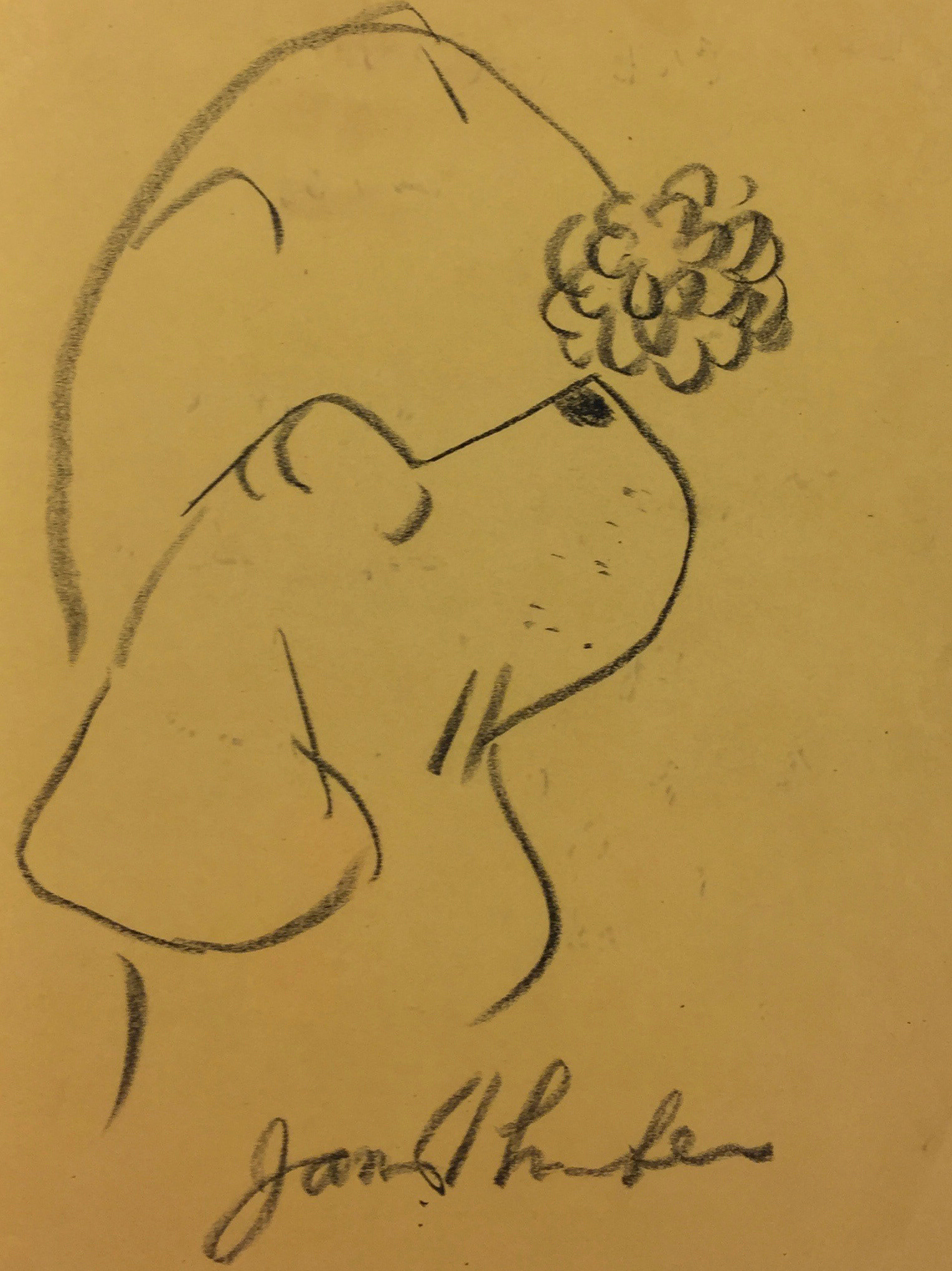 Dog and flower yellow page