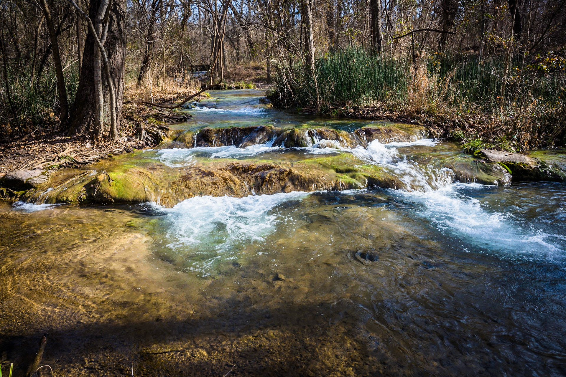 Big Thicket National Preserve