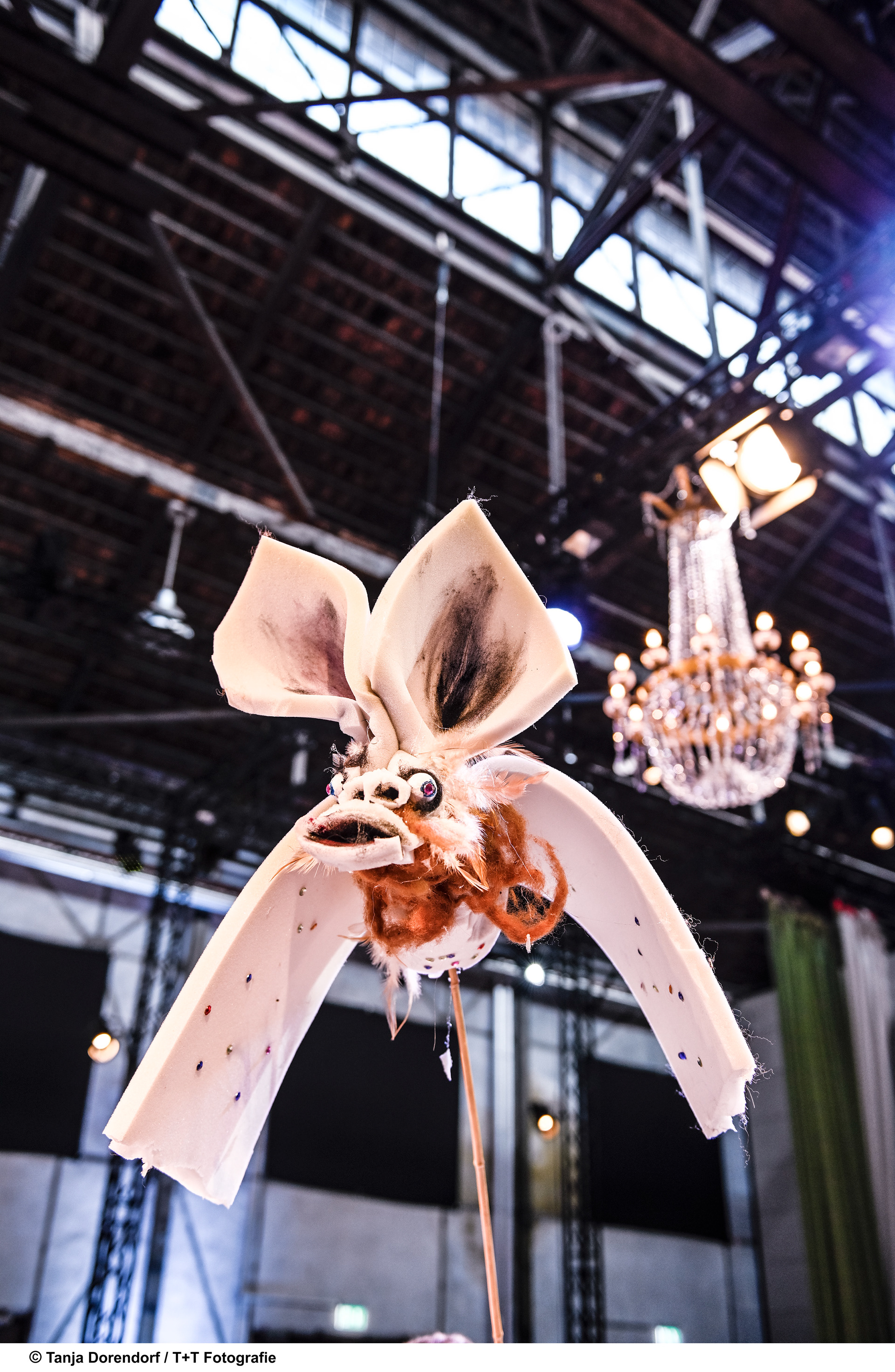 (Image: Tanja Dorendorf / T + T Photography)