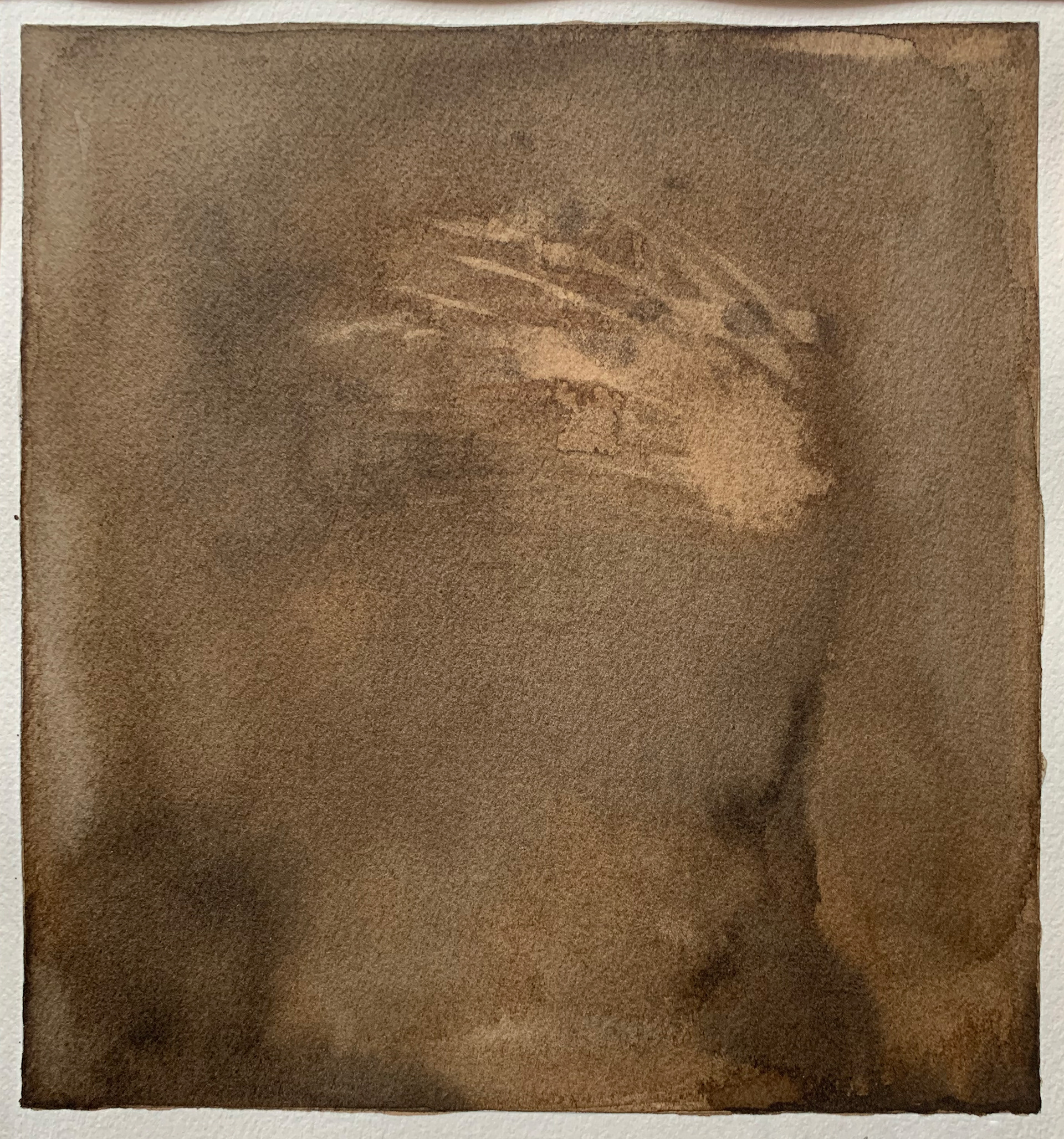 Walnut Ink Drawing 1. Walnut Ink  on Arches watercolor paper. 10" x 10"