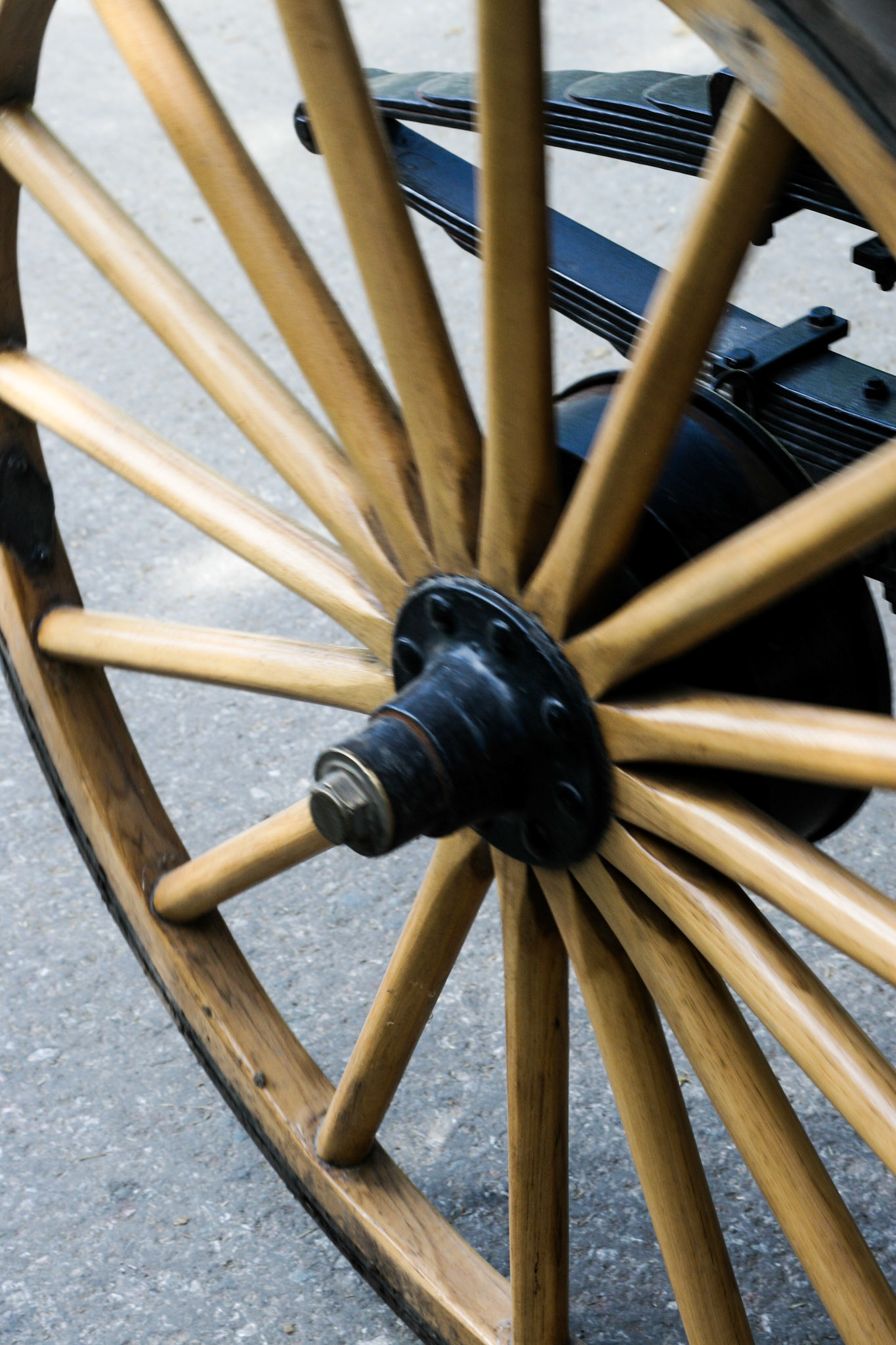 Horse Carriage Mackinac island