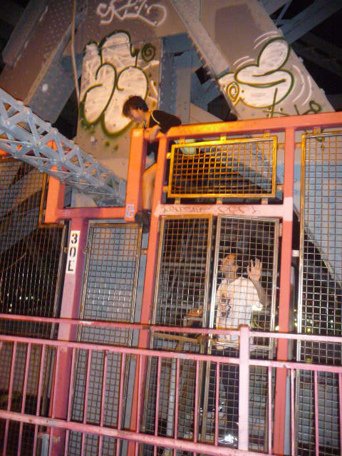 Friends Climbing Fences