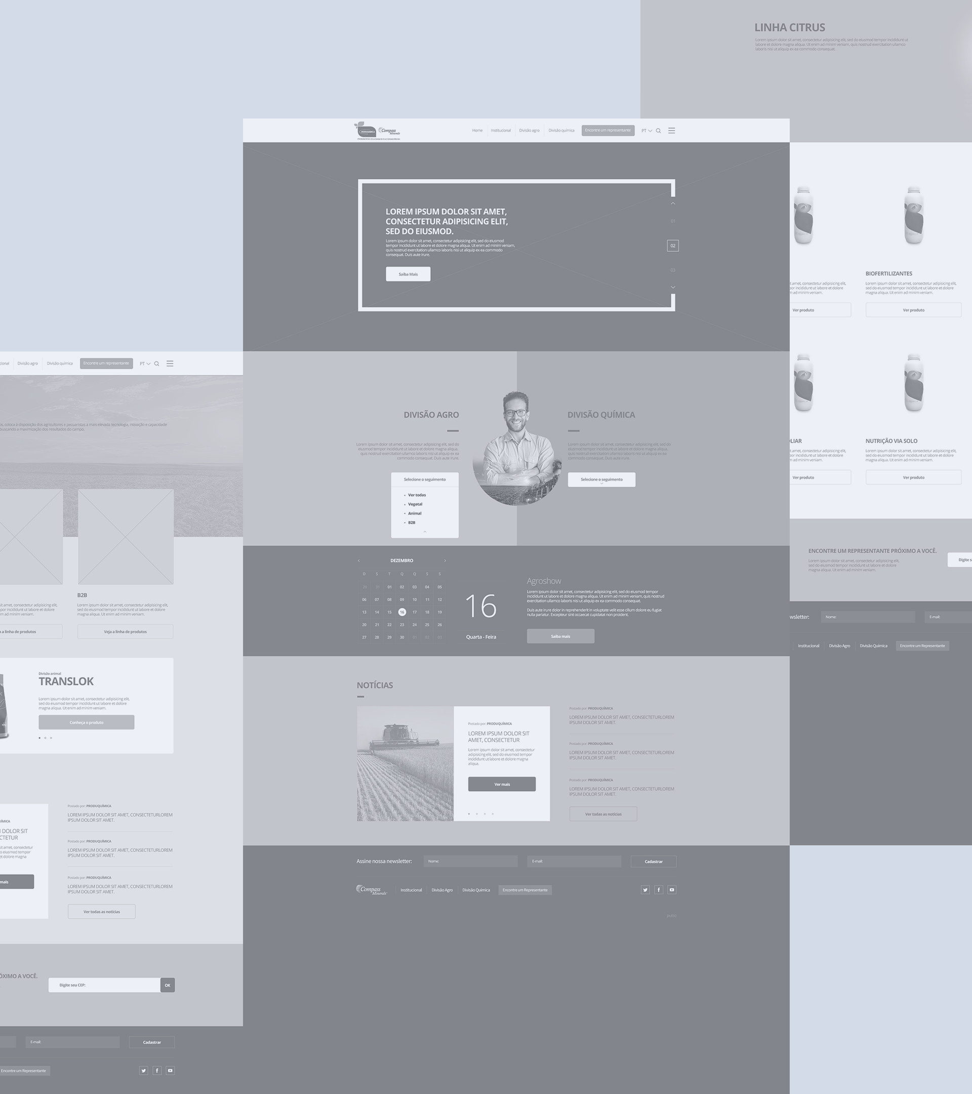 Wireframe do projeto
