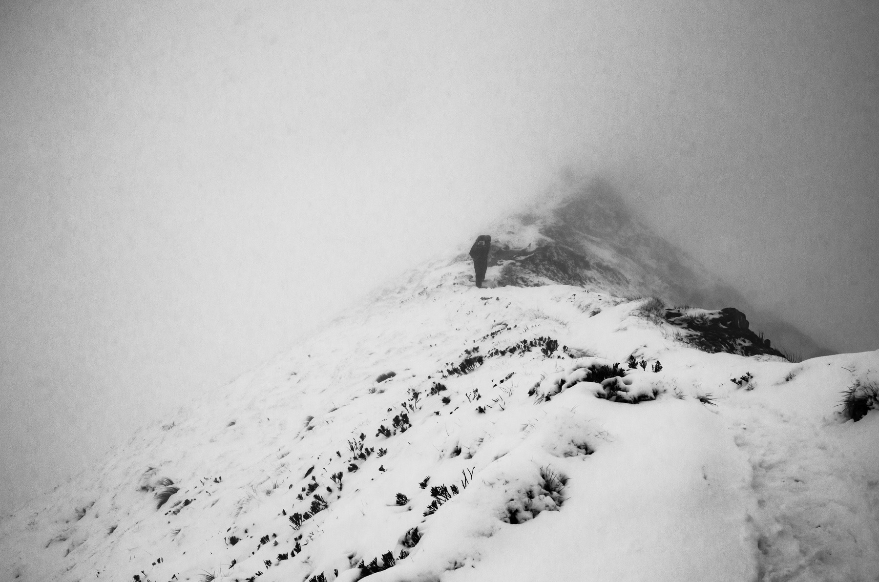 Kepler Track, South Island, New Zealand