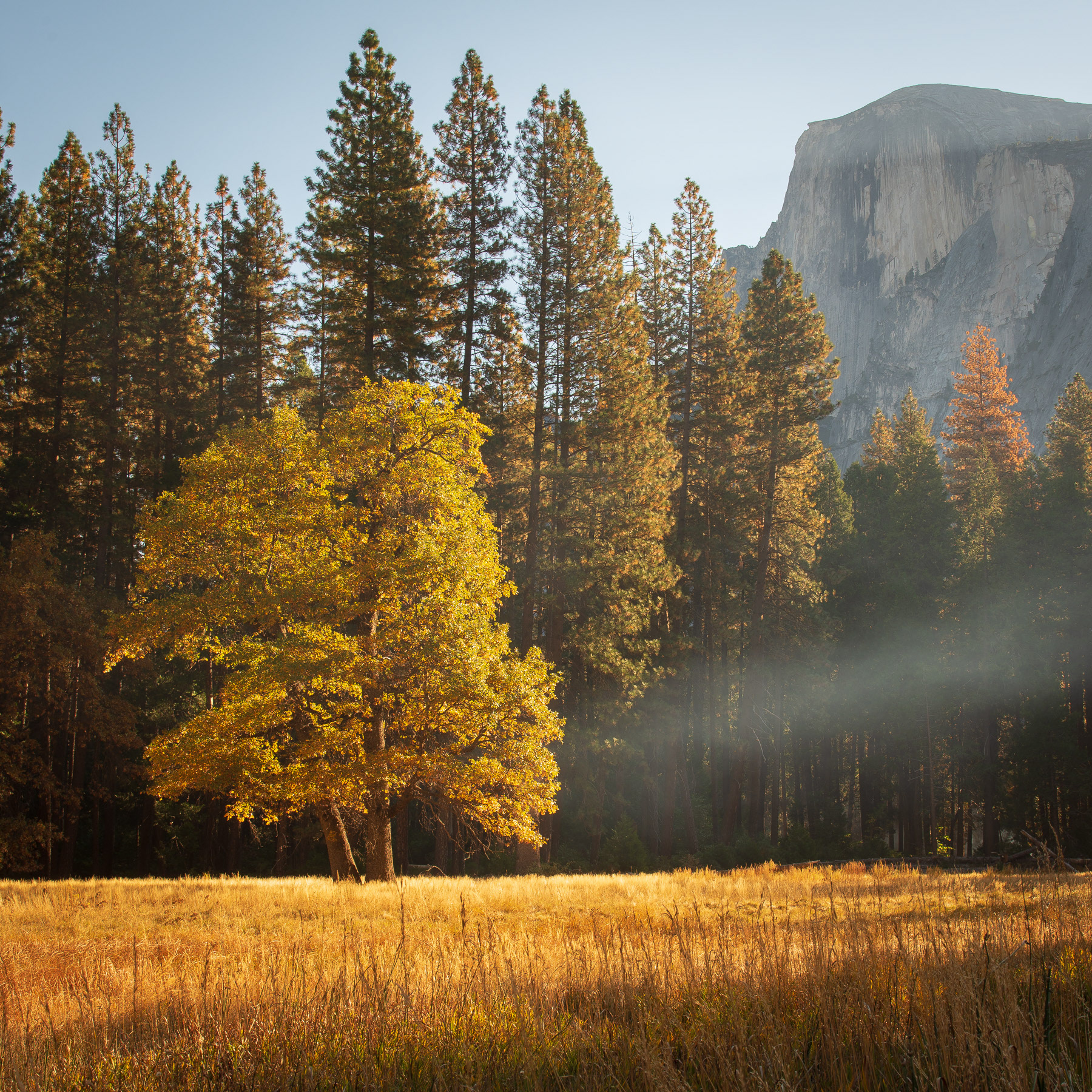 Yosemite Valley