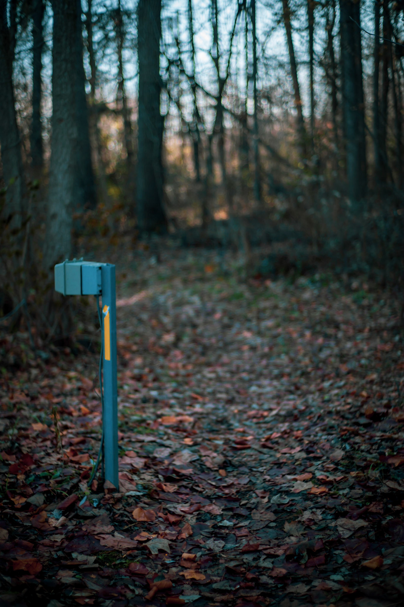Signs of us Fall