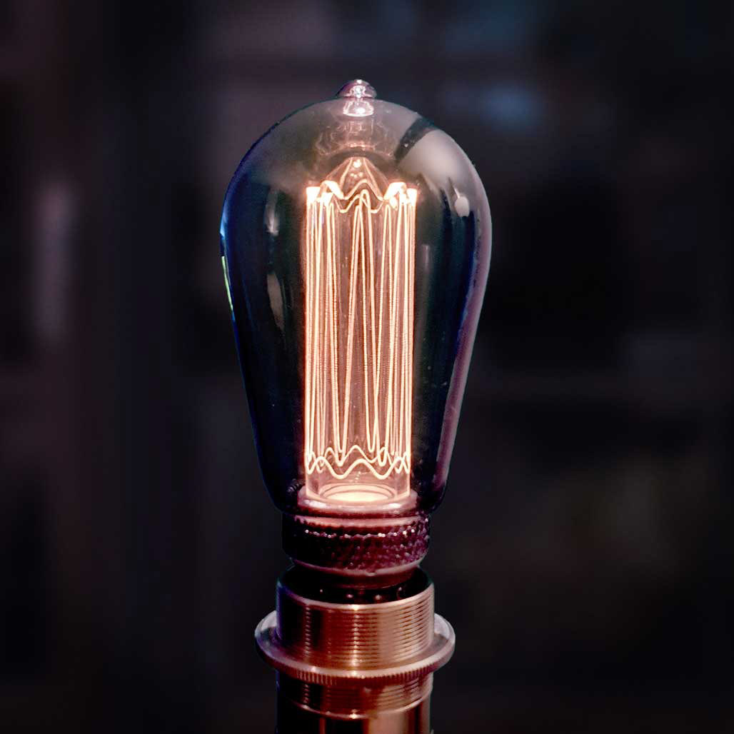 Vintage Edison LED light bulb