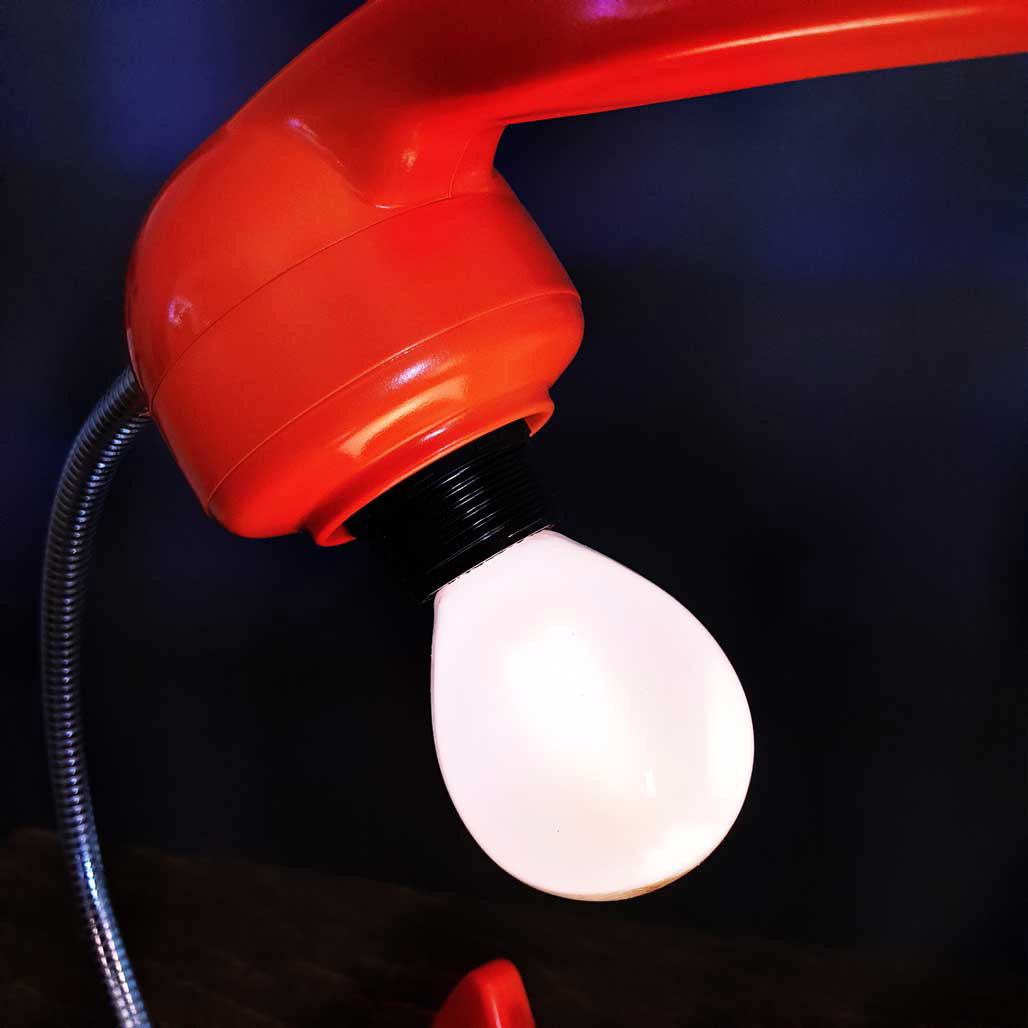 2x light fitting with bulbs