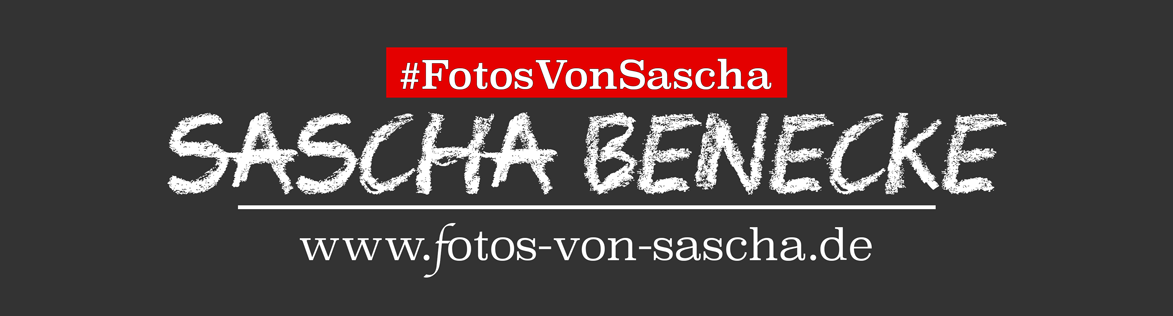 Sascha Benecke