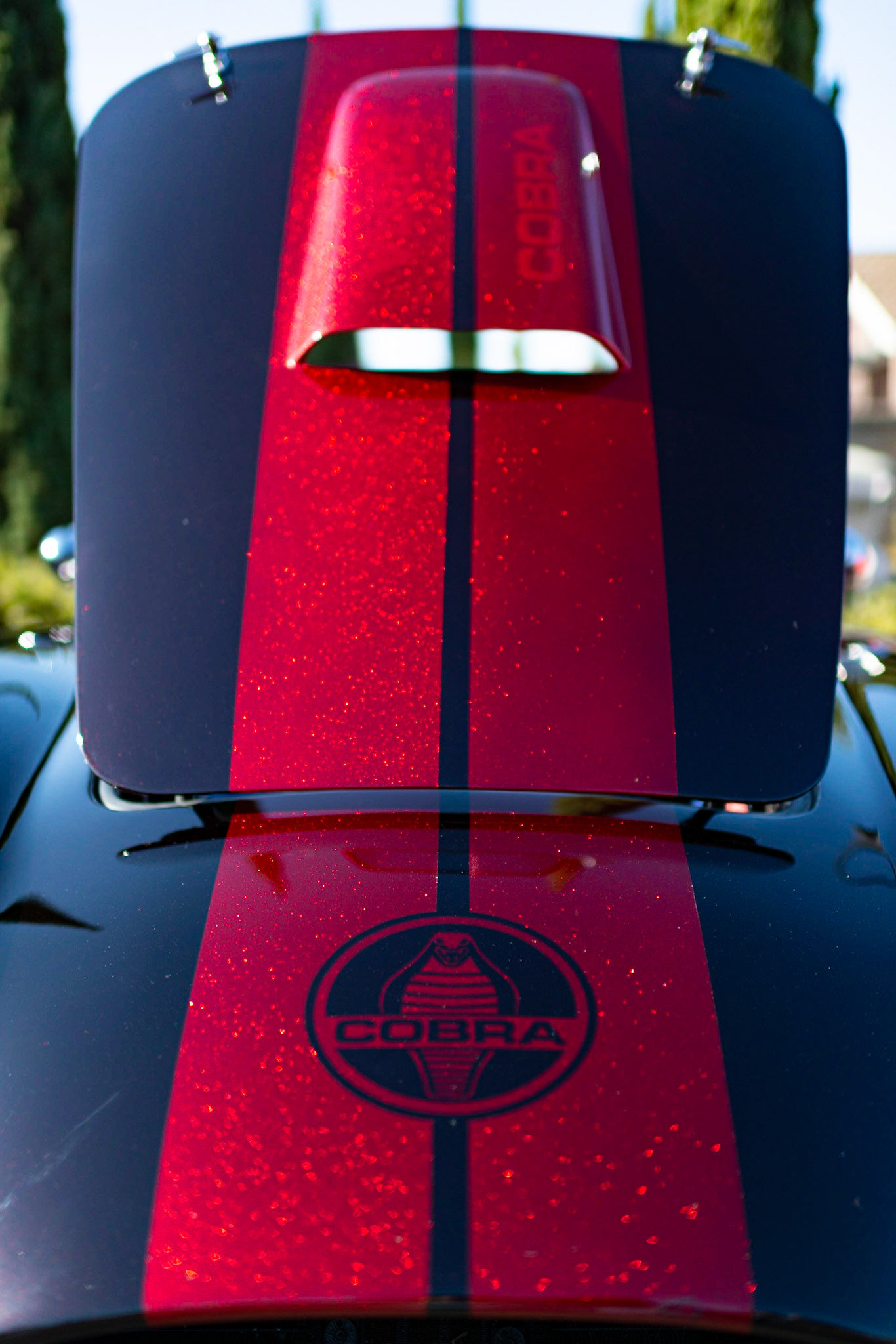 Factory Five Cobra